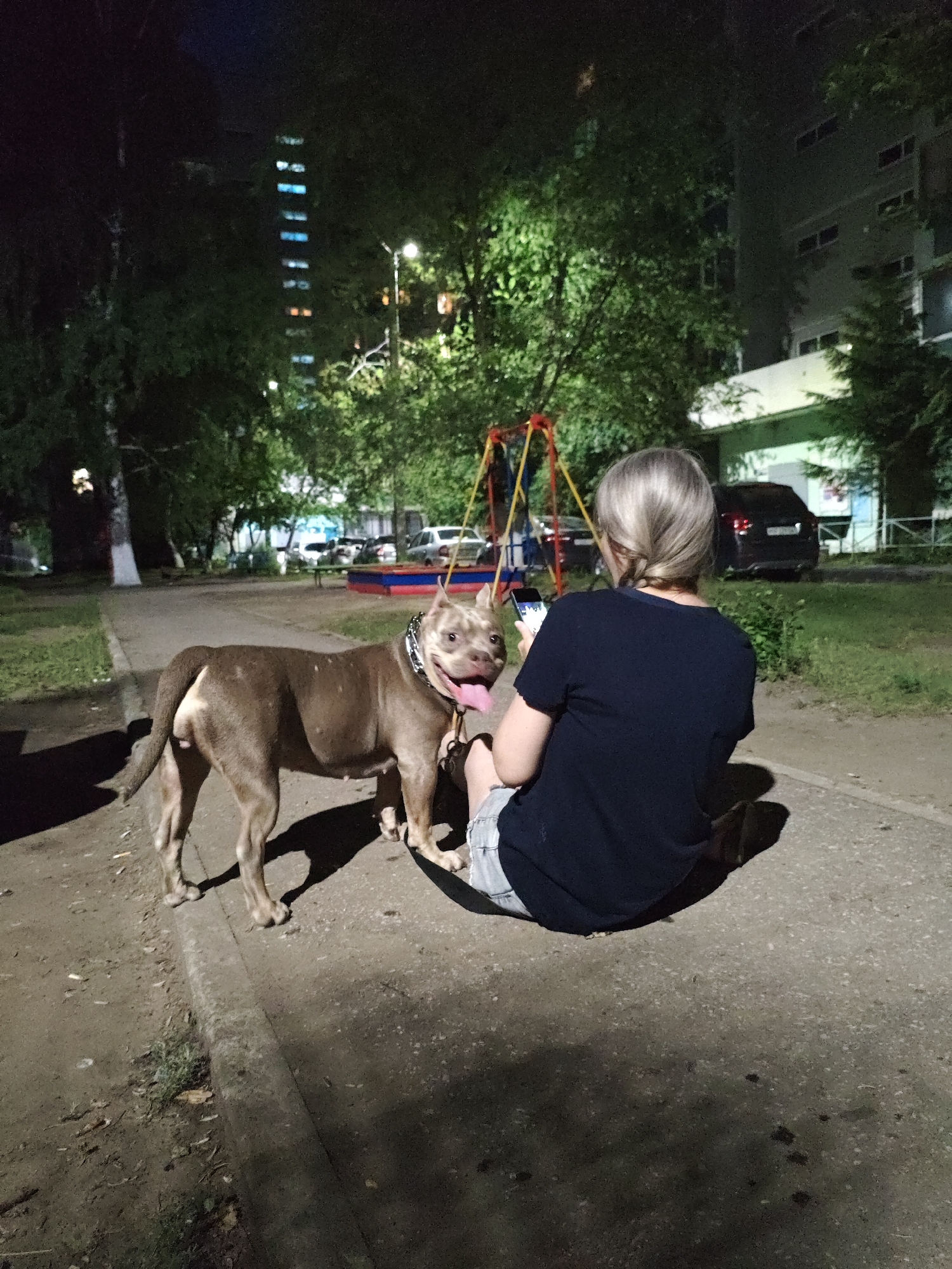 Late-night park hang with pit bulls and a phone