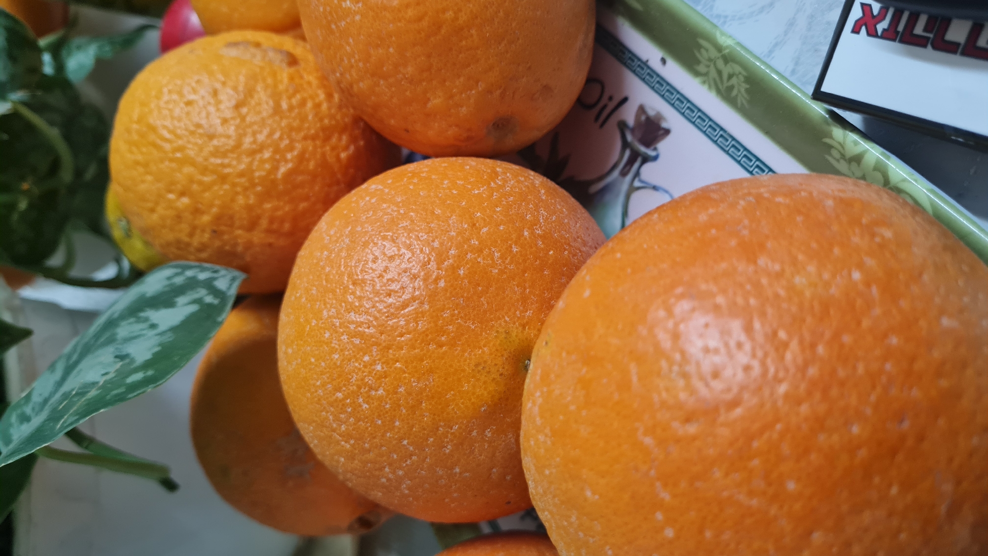 Oranges displayed on decorative tray in Rishon LeZion