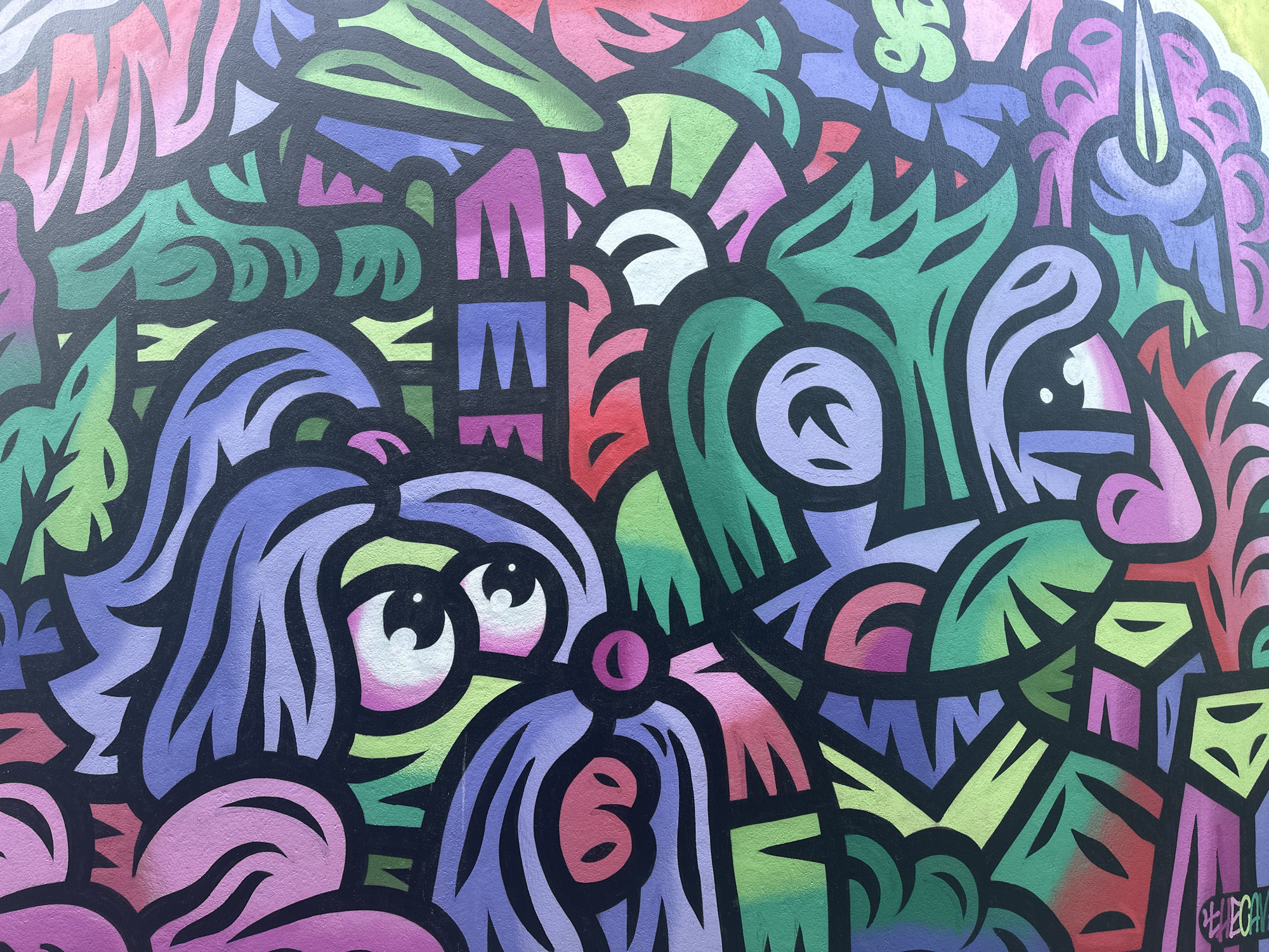 Street art murals documented across Sofia boulevards and squares
