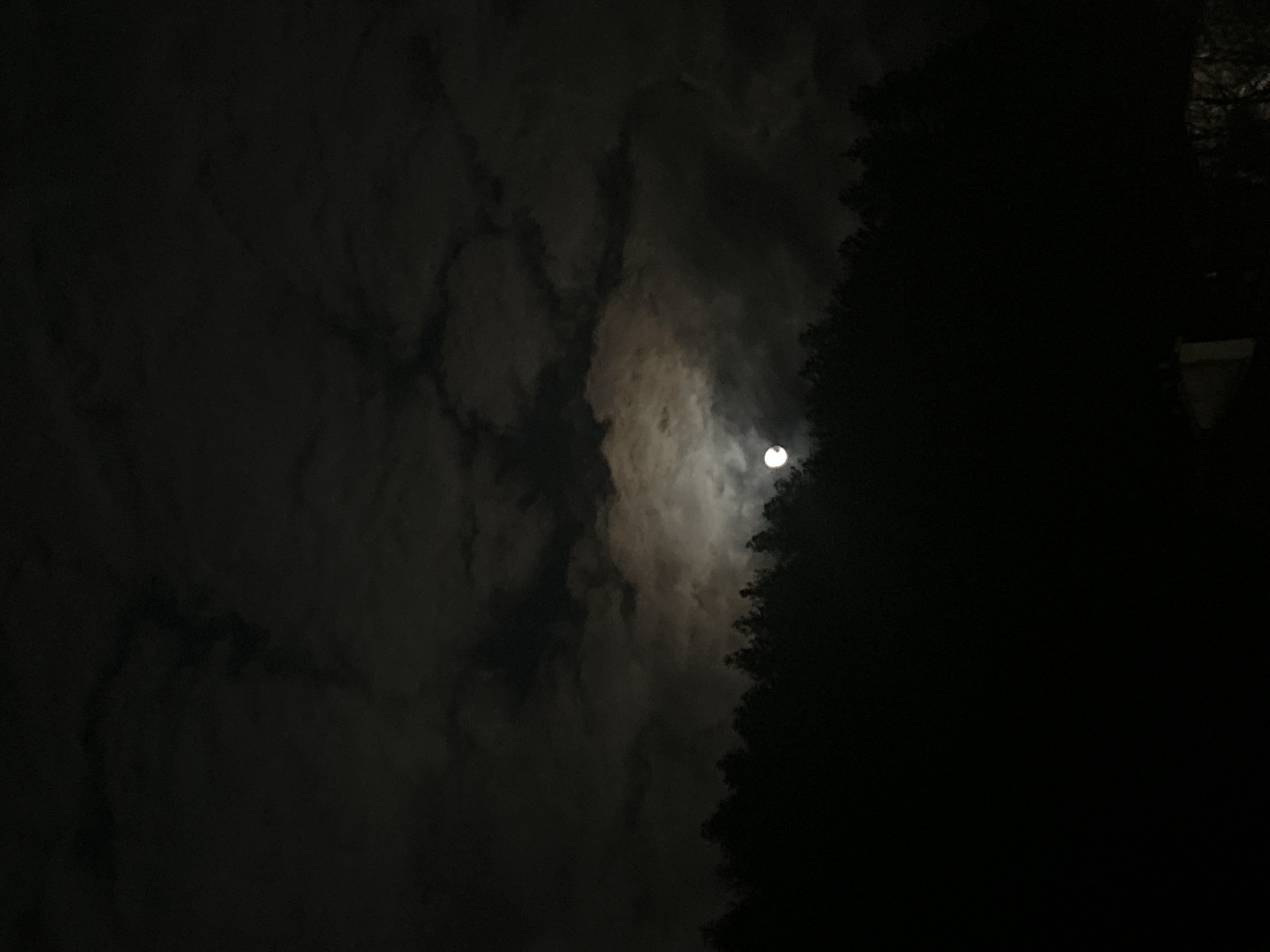 Young man poses for nighttime photo under cloudy moon