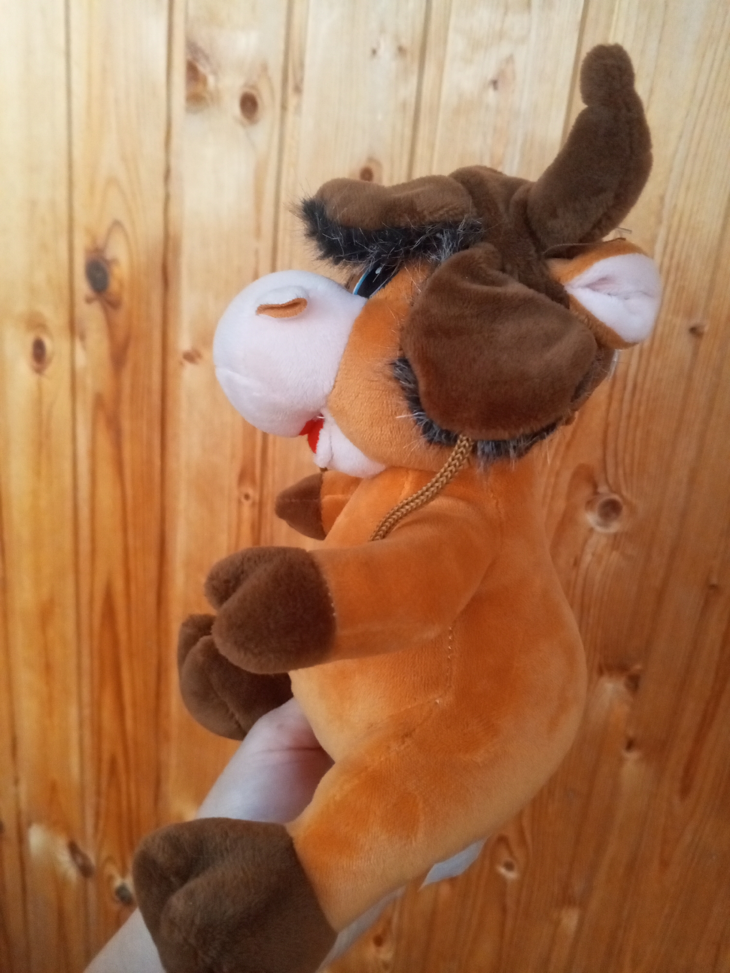 Plush toys and neighborhood views from Chistopol, Russia