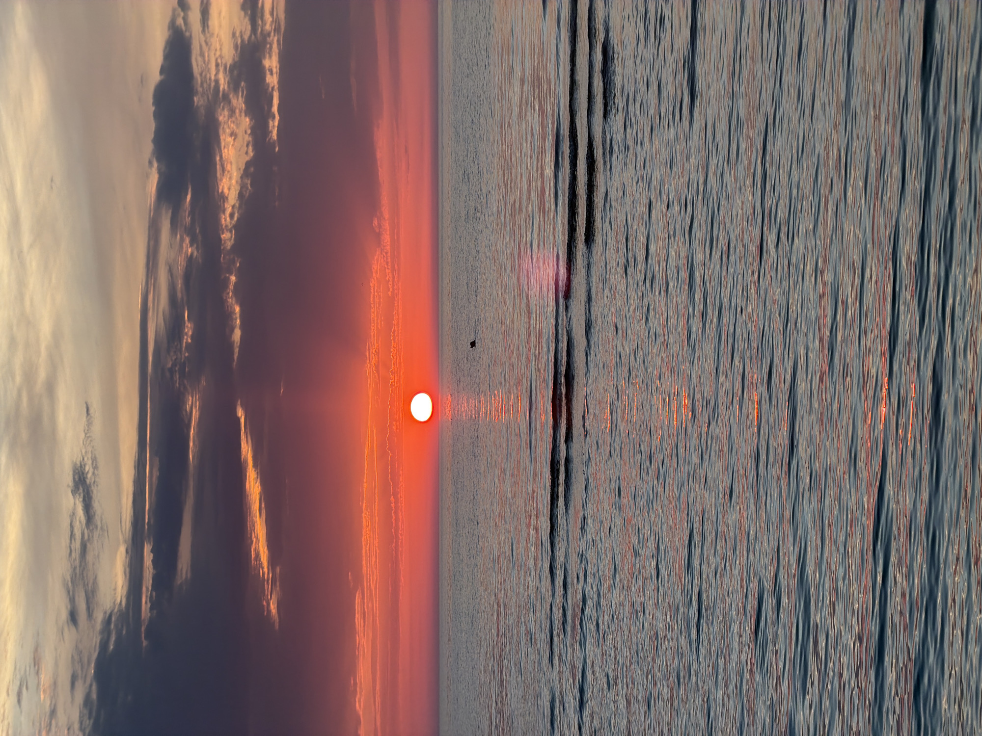 Sunset dinner on the Baltic coast in Jūrmala