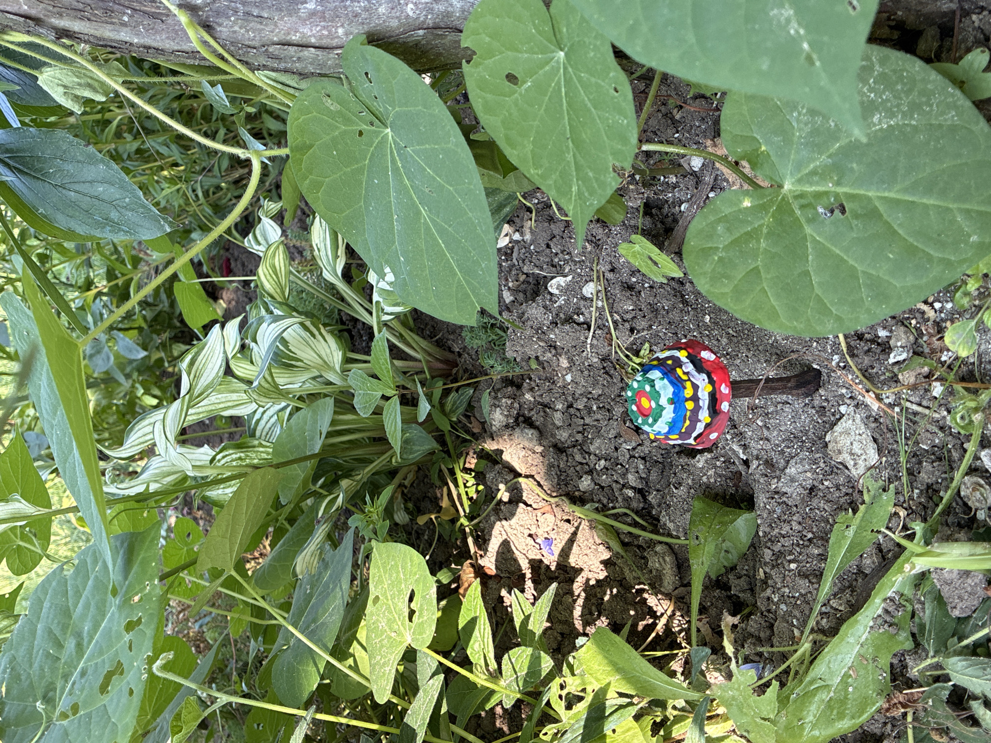 Afternoon in a Surami garden: crafts, plants, and downtime
