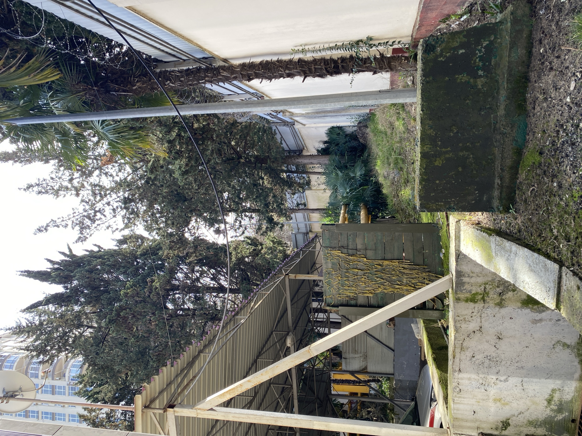 Daily life scenes captured across Sochi neighborhoods