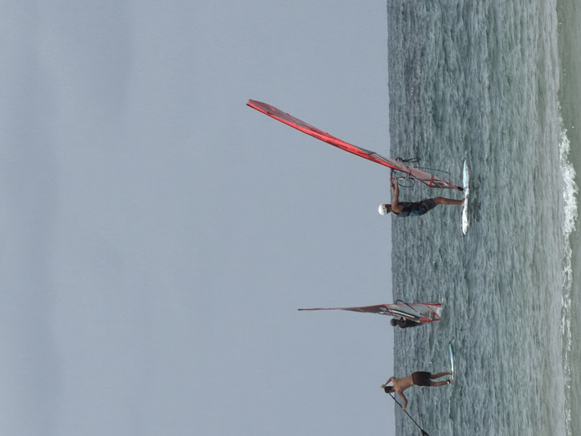 Water sports activity and beetle sighting reported in Tel Aviv