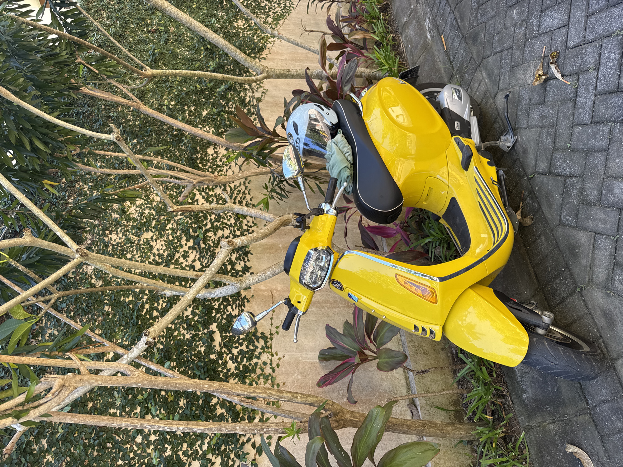 Assorted objects photographed in Kuta Selatan tourist area