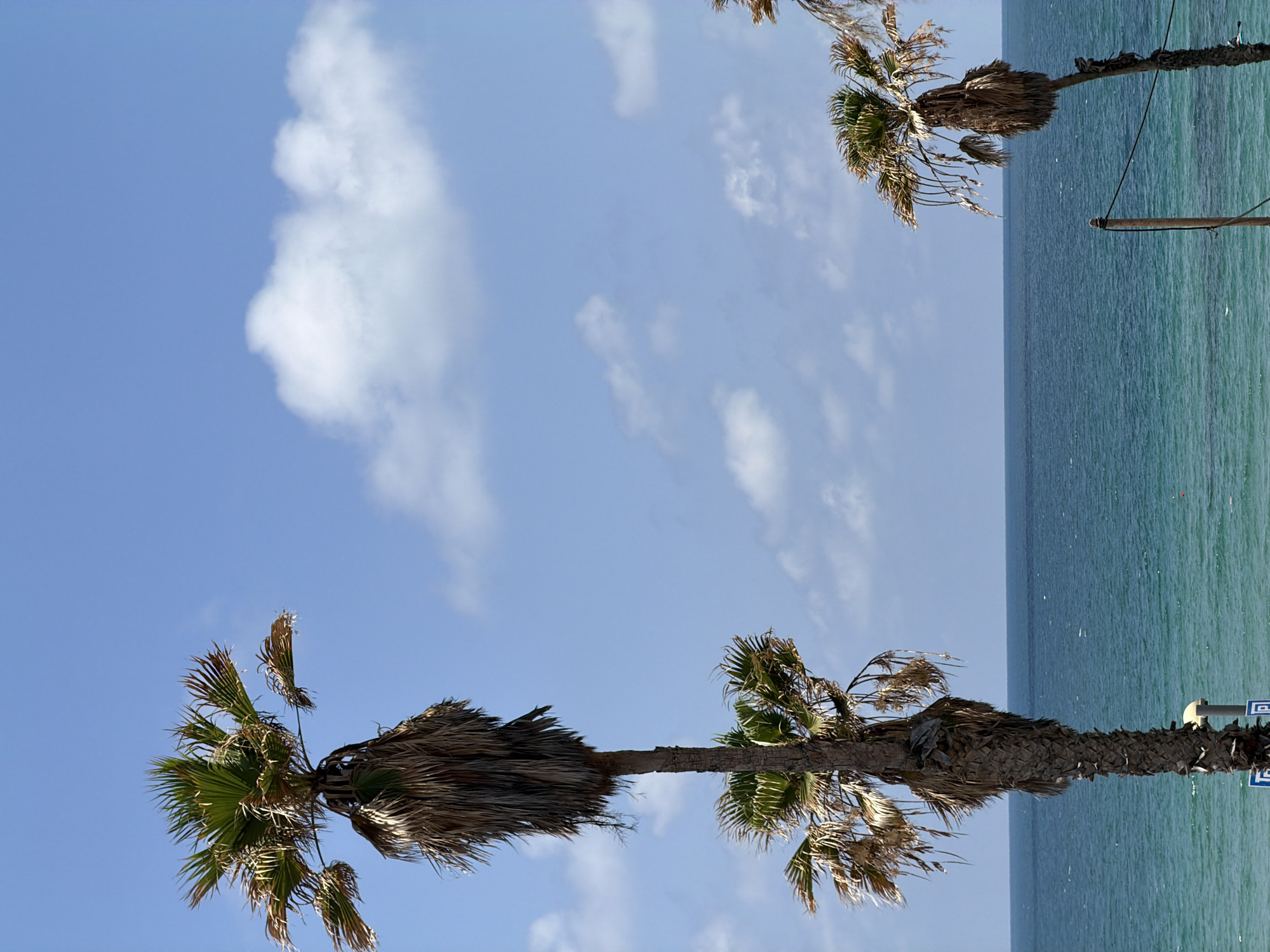 Tel Aviv Morning: Coastal Views, Cooking, Street Deliveries