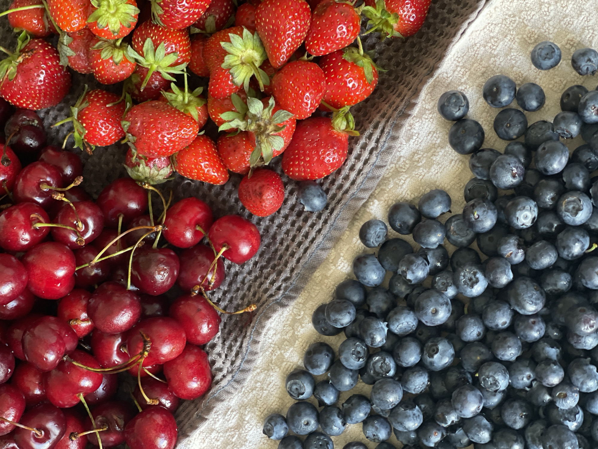 Fresh berries and a leafy surprise: slug included