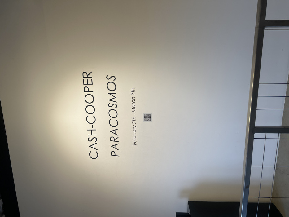 Late-night documentation of PARACOSMOS art exhibition in Los Angeles