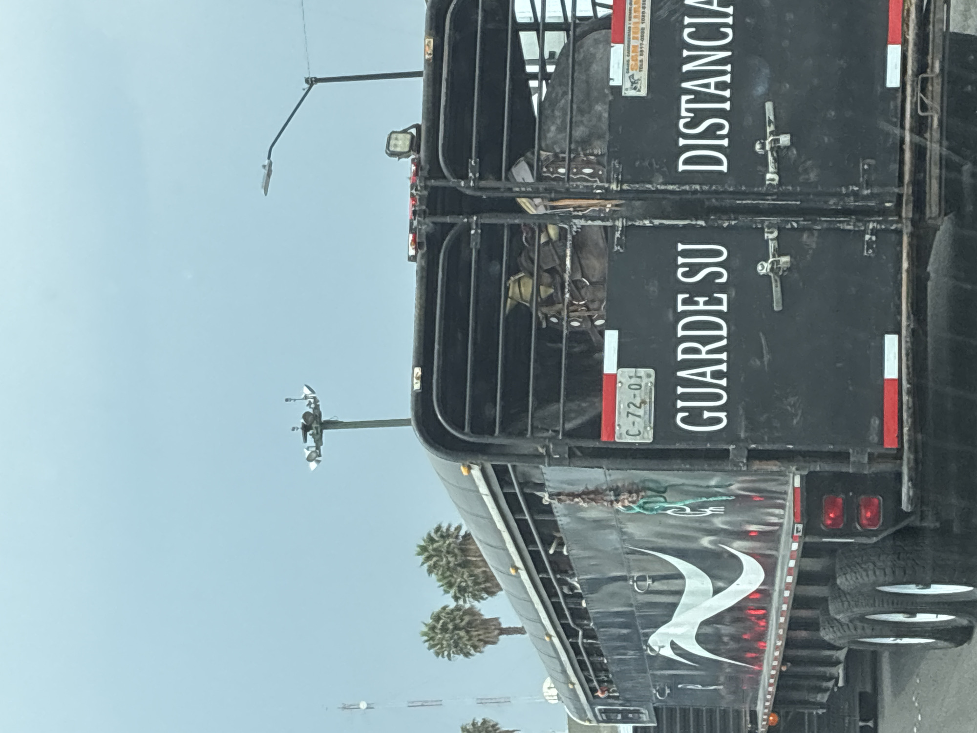 Livestock trailer with safety message spotted in Tepotzotlán