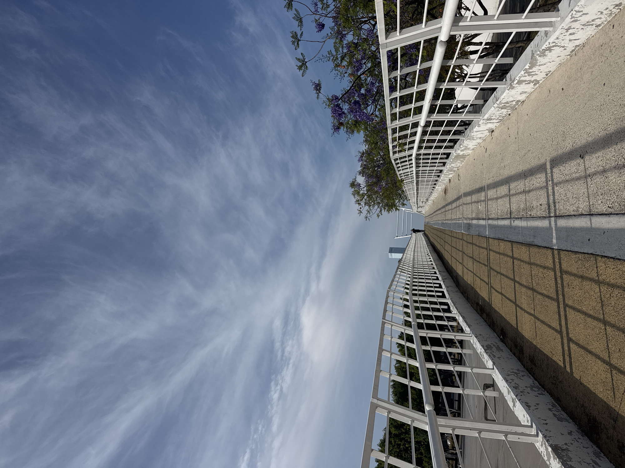 Cyclist crosses pedestrian bridge in Puebla during sunny afternoon