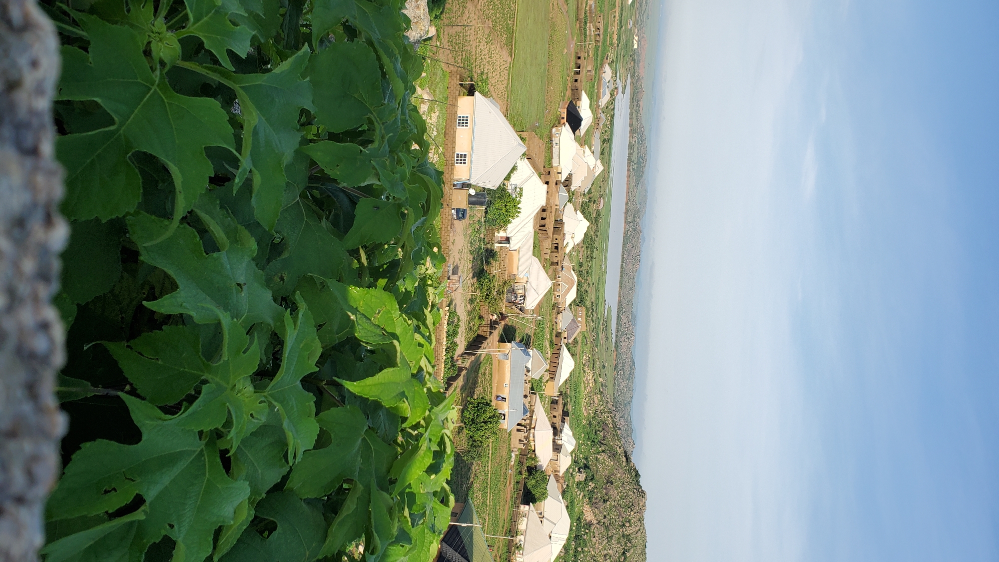 Filming the Jos hillside landscape from rocky outcrops above the city