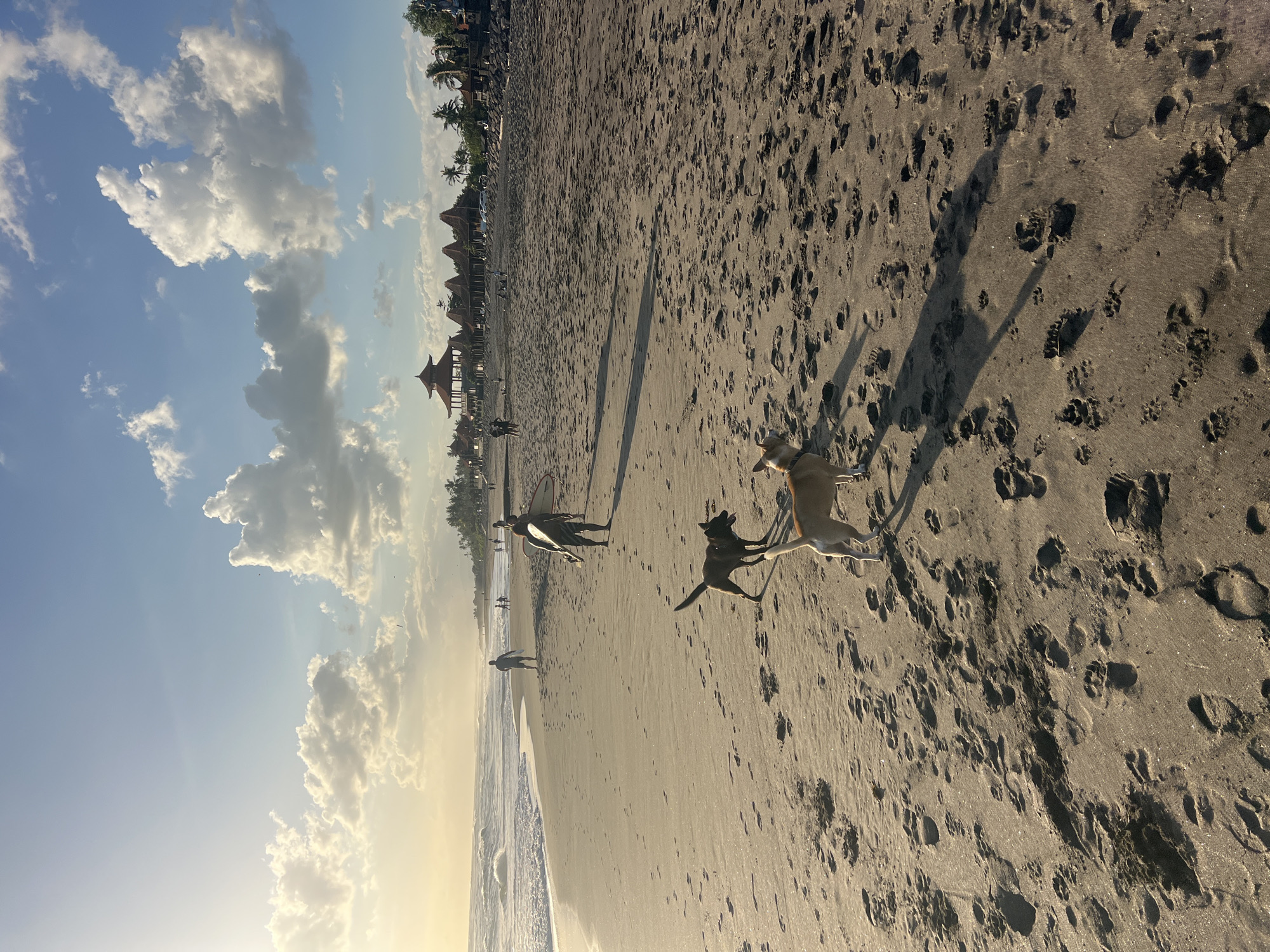 Black sand beach afternoon in Kediri, Bali — surf, dogs, temples