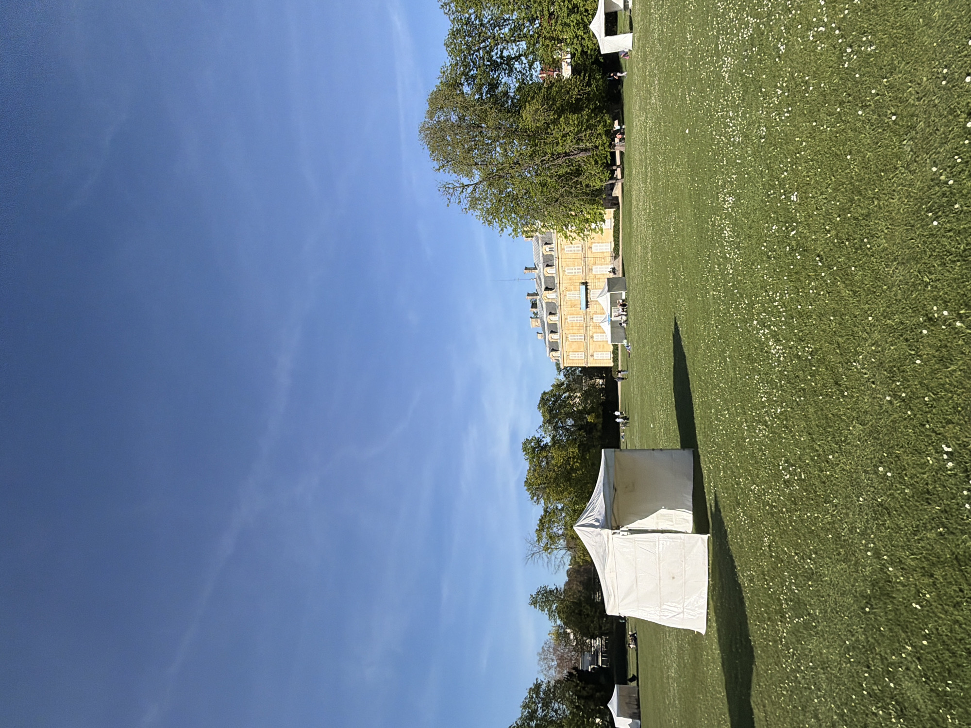 Spring daisies bloom across Rueil-Malmaison park lawn