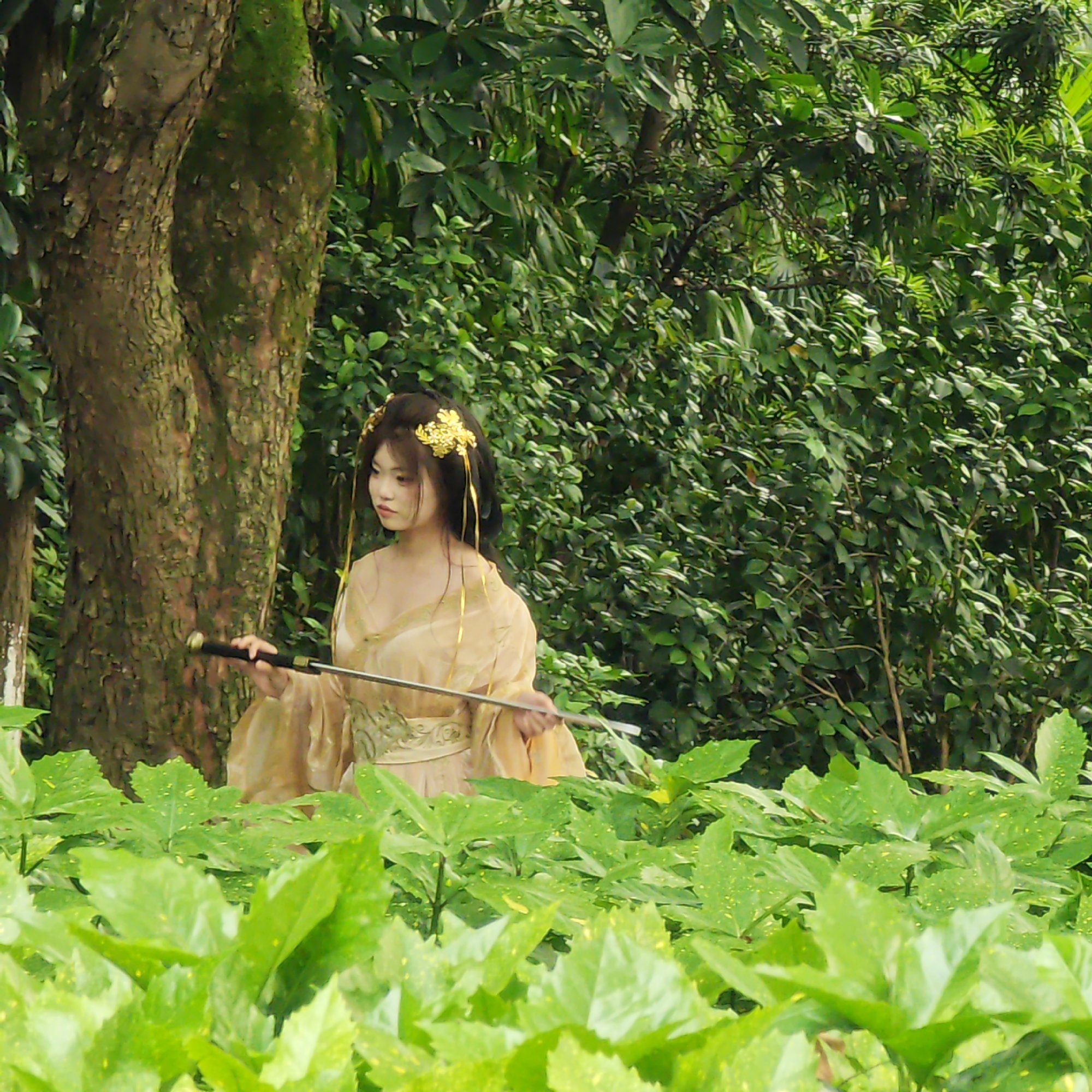 Traditional costume enthusiasts gather in Yuzhong District parks