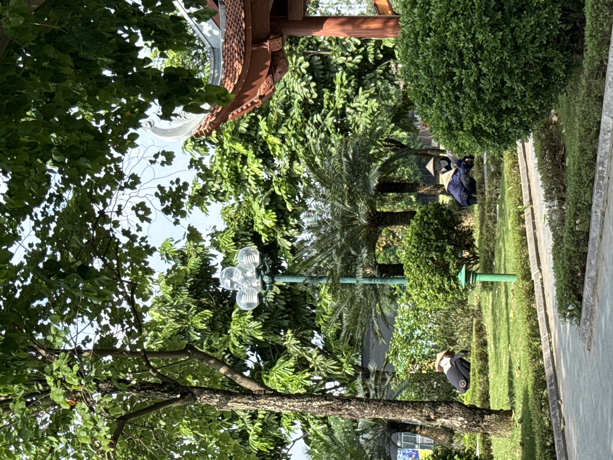 Morning park scene documented in Hà Nội, Vietnam