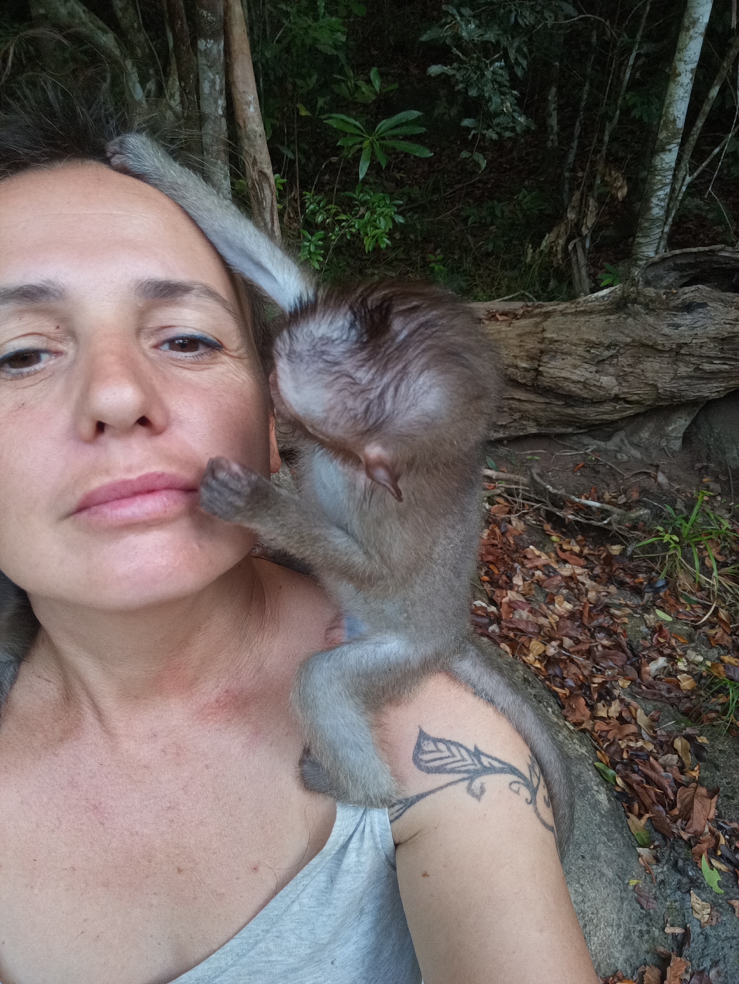 Macaque monkeys observed in Thailand forest during nighttime encounter