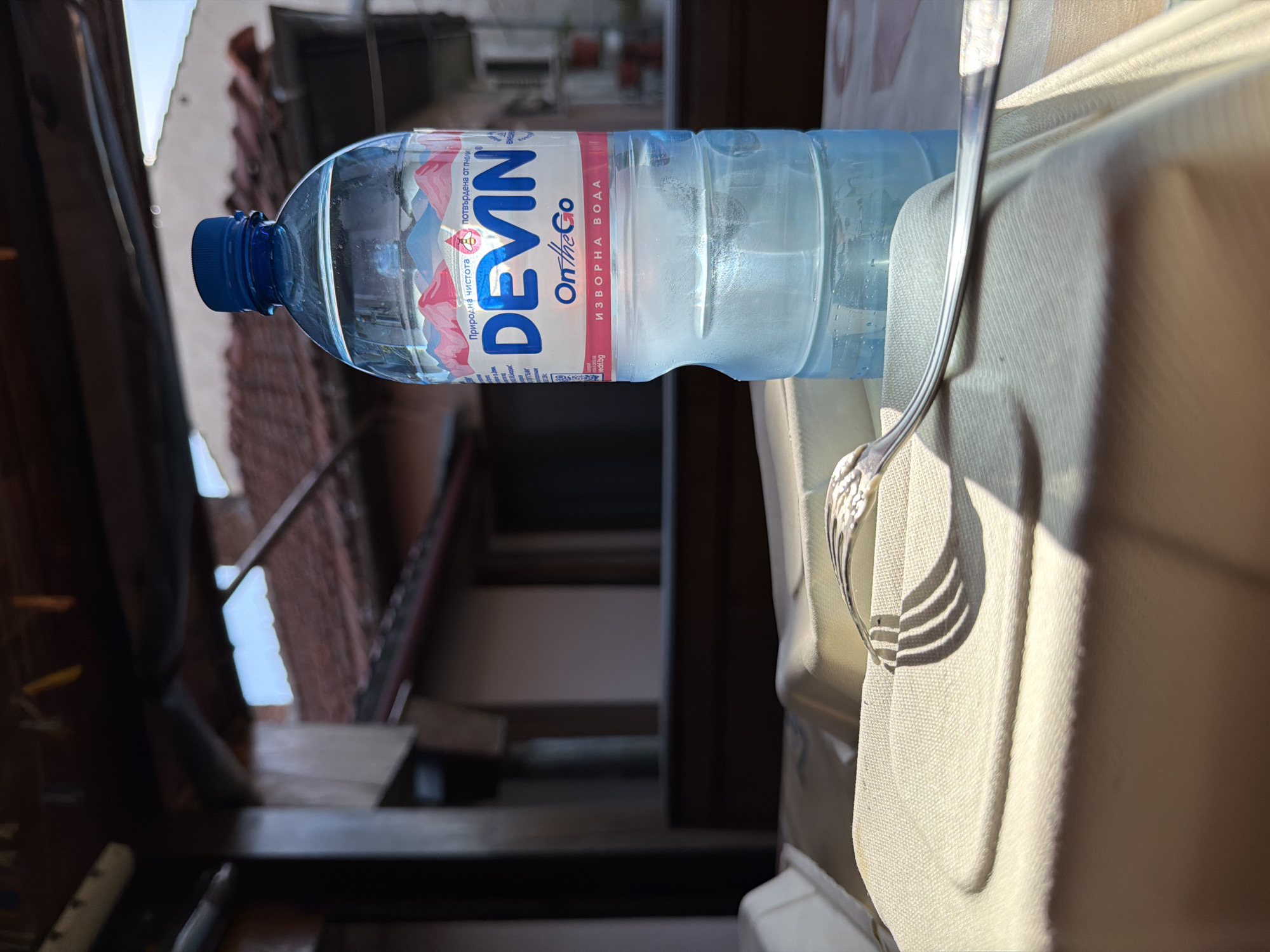 Lunch in Lovech: carbonara and DEVIN water at a casual spot