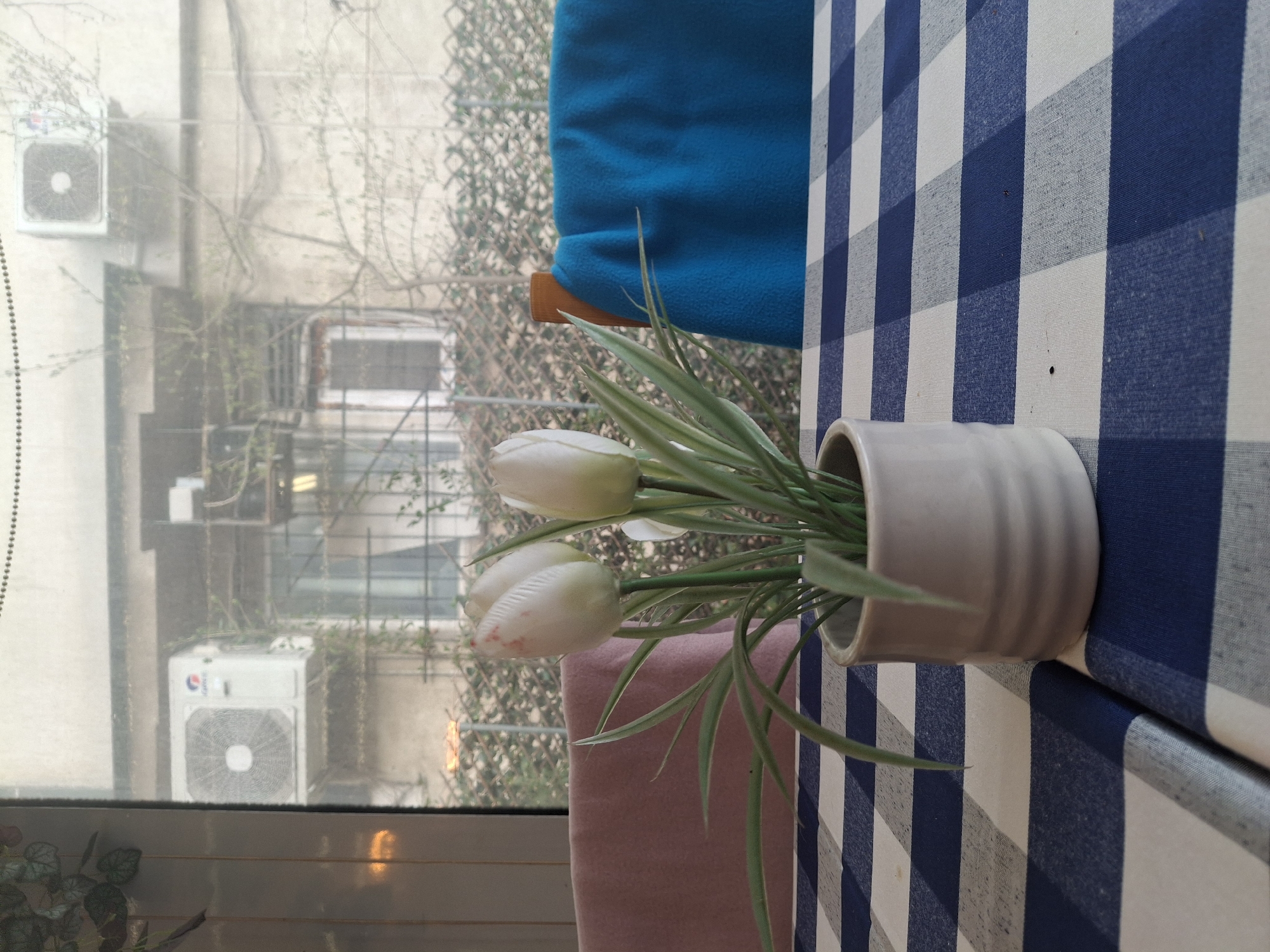 Domestic indoor scenes captured across Sofia apartments