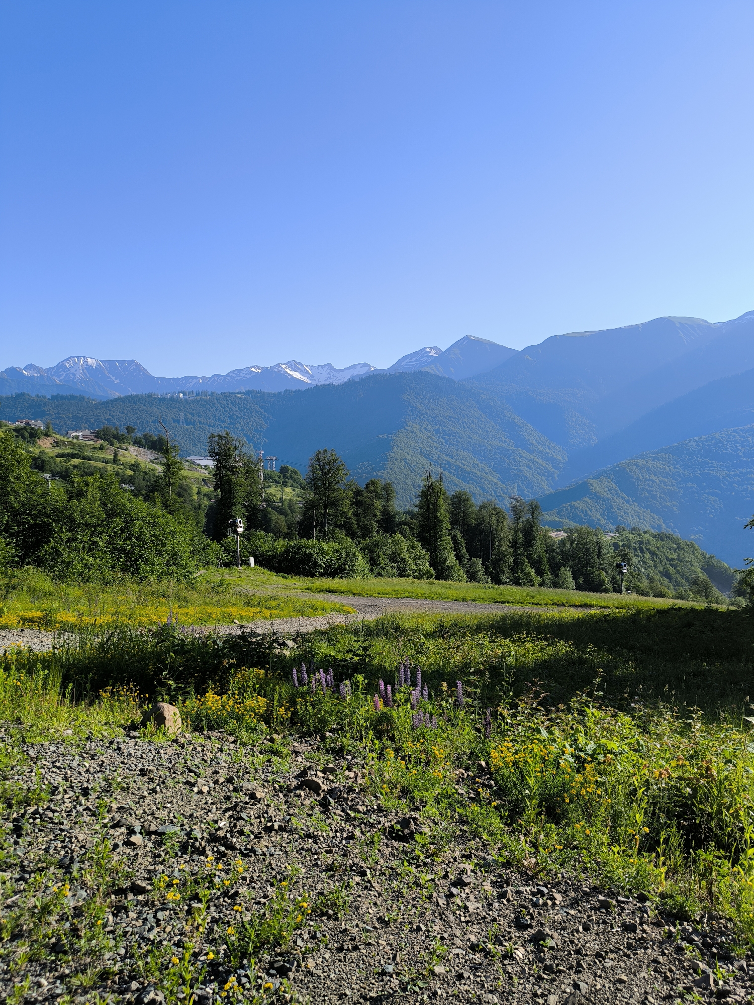 Summer scenes along the forested hills of Estosadok, Russia