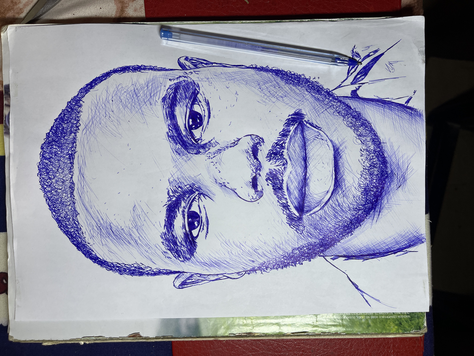 Artist creates blue ink portrait alongside digital artwork in Jos