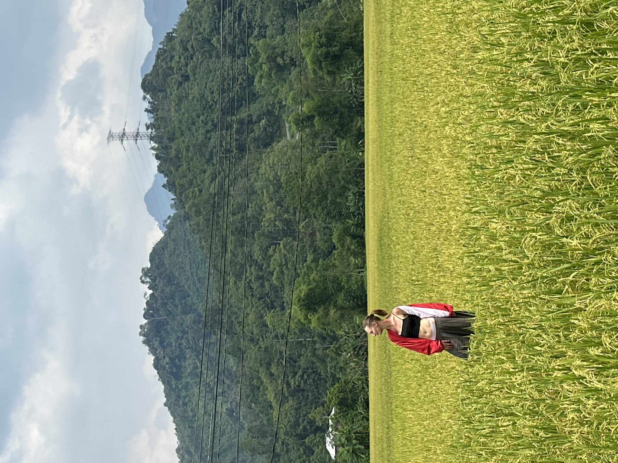 Woman poses for photos in Vietnamese rice fields