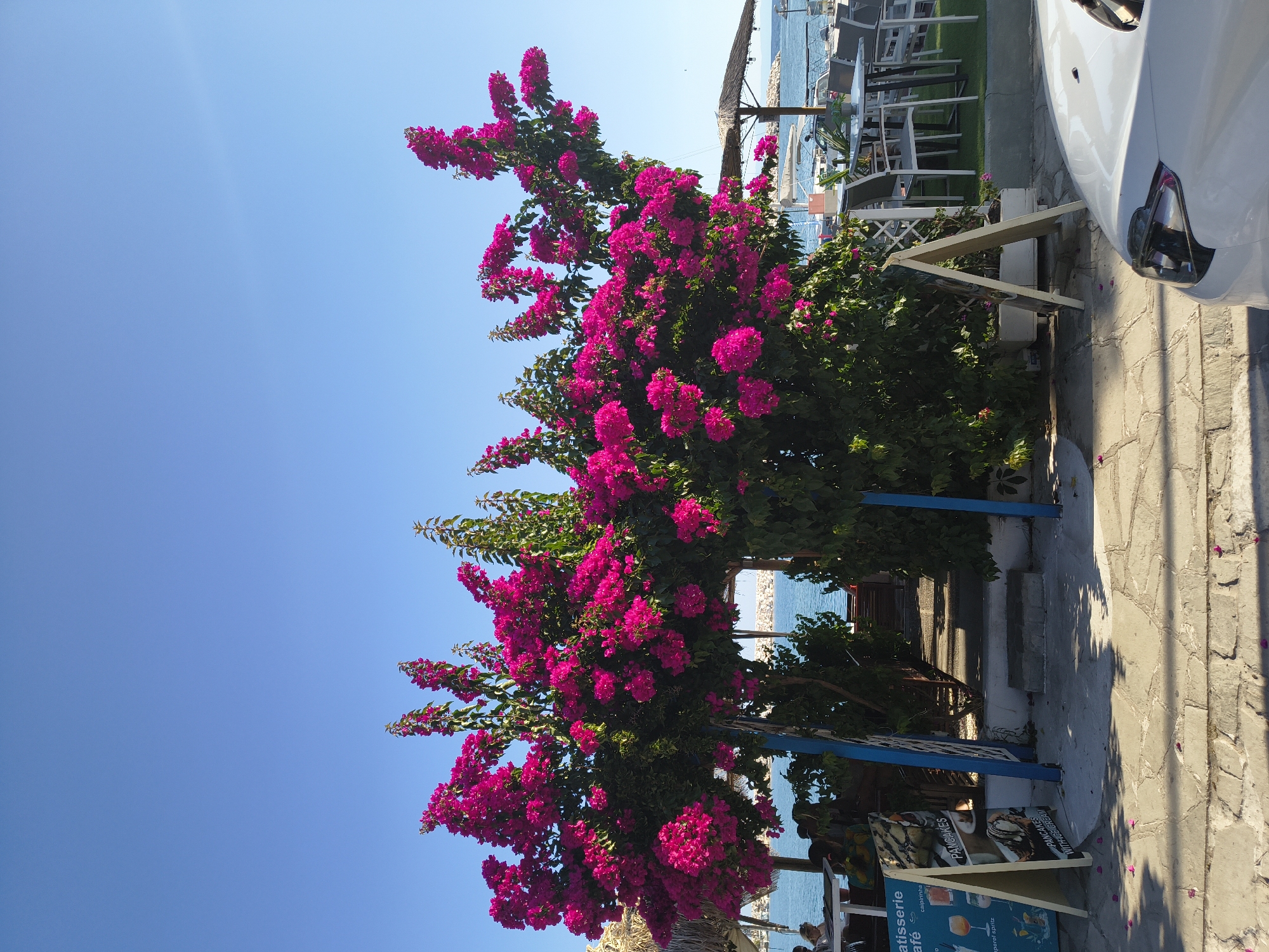 Bougainvillea in full bloom at a Limenaria restaurant