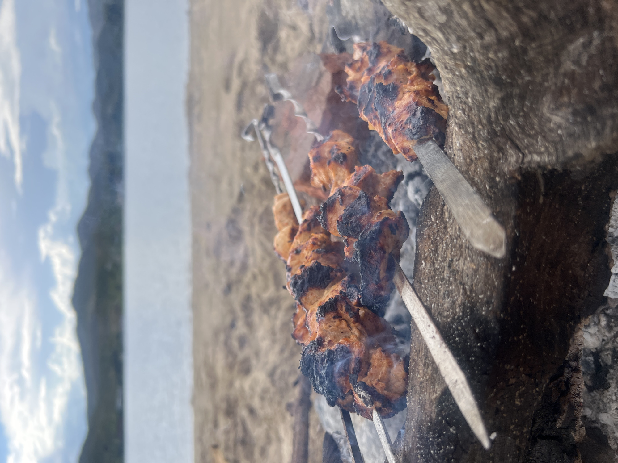 Meat on a log grill, dog dozing — beachside hangout in Kazakhstan