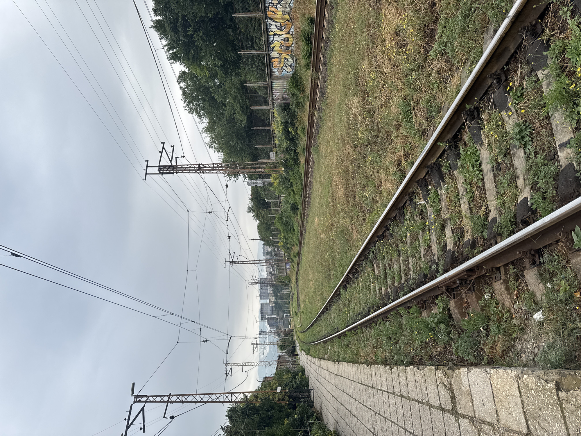 Overgrown railway and graffiti walls in Tbilisi