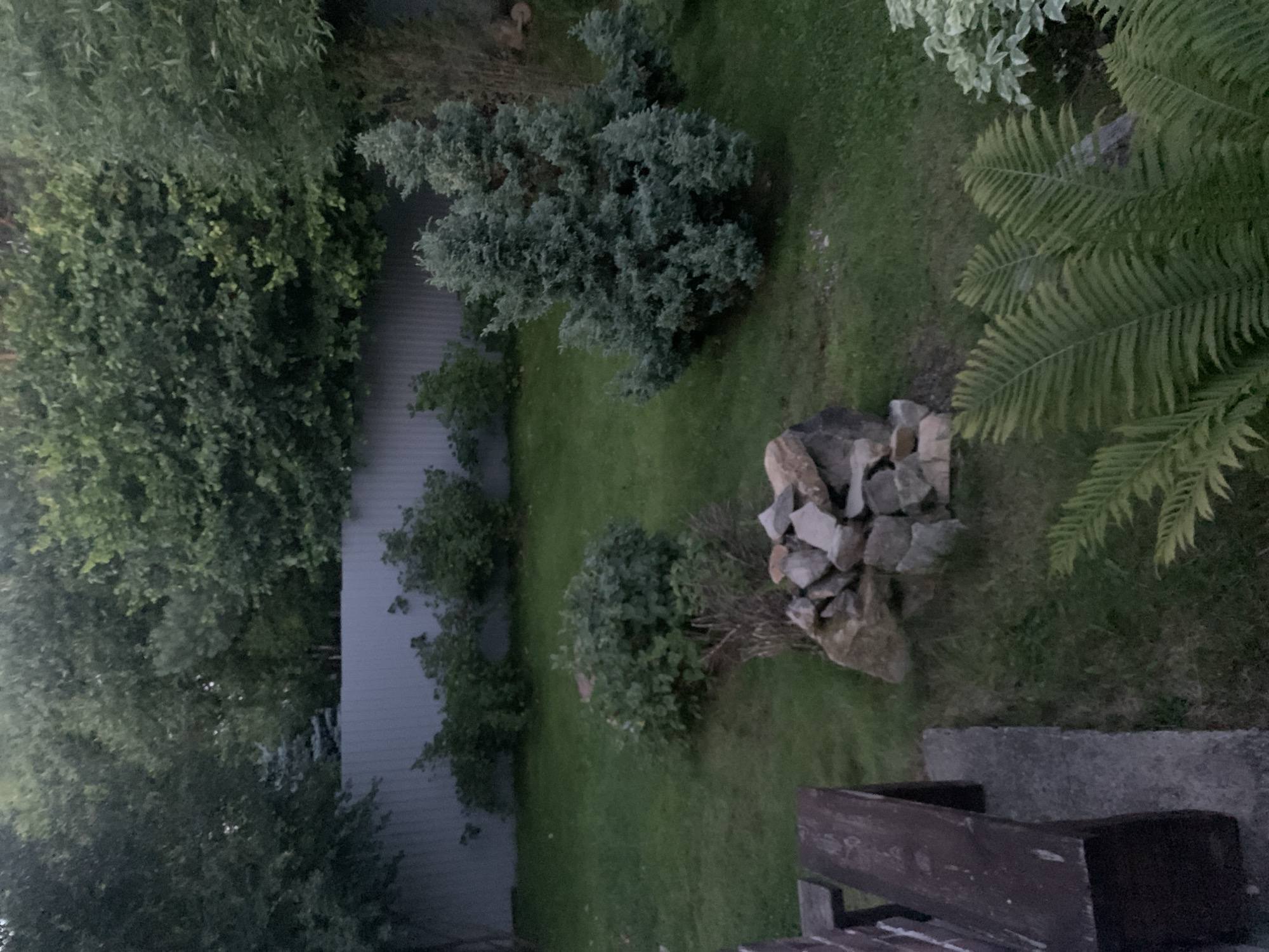 Backyard garden tour with ornaments, pond, and handmade art