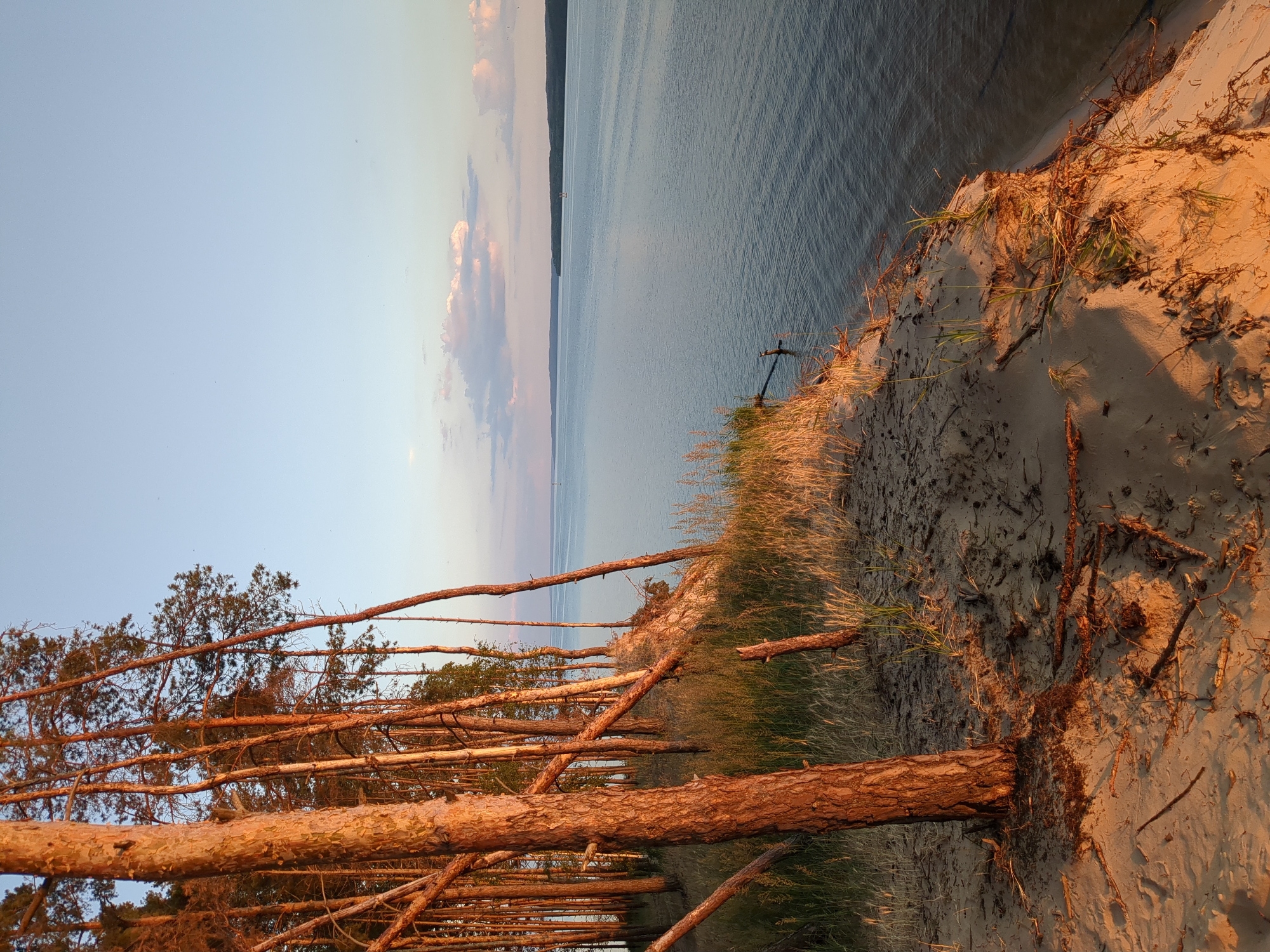 Summer evening at the Pereiaslav waterfront, swimming and sunset.