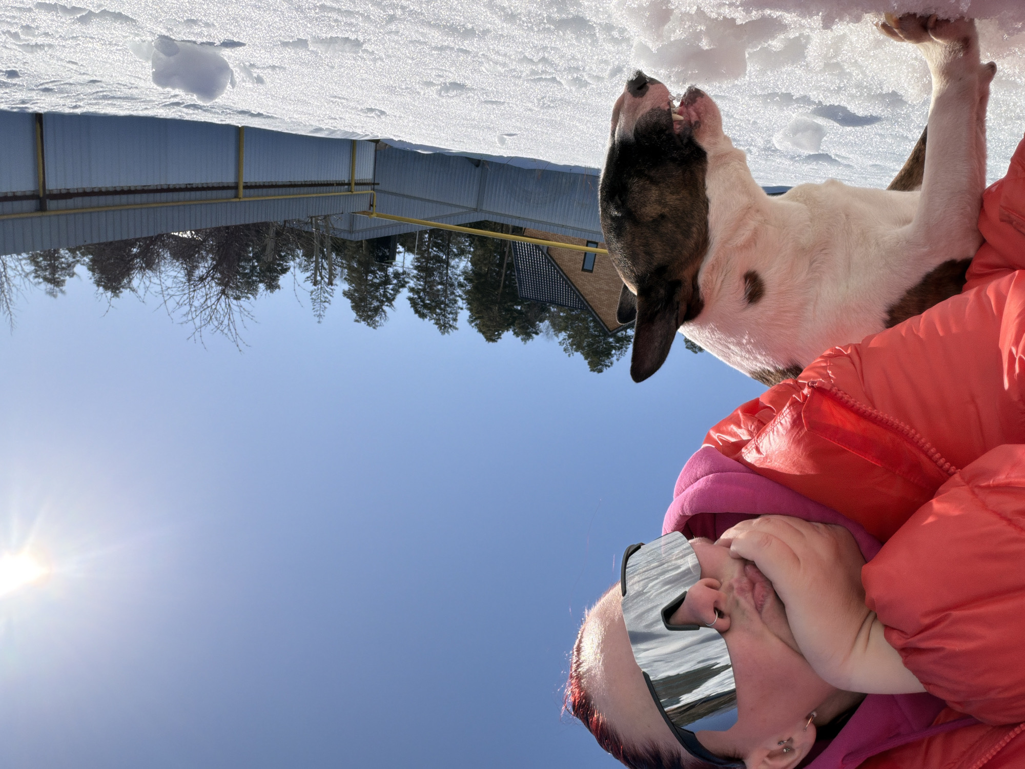 Family enjoys winter morning with dog in Chaikovsky, Russia