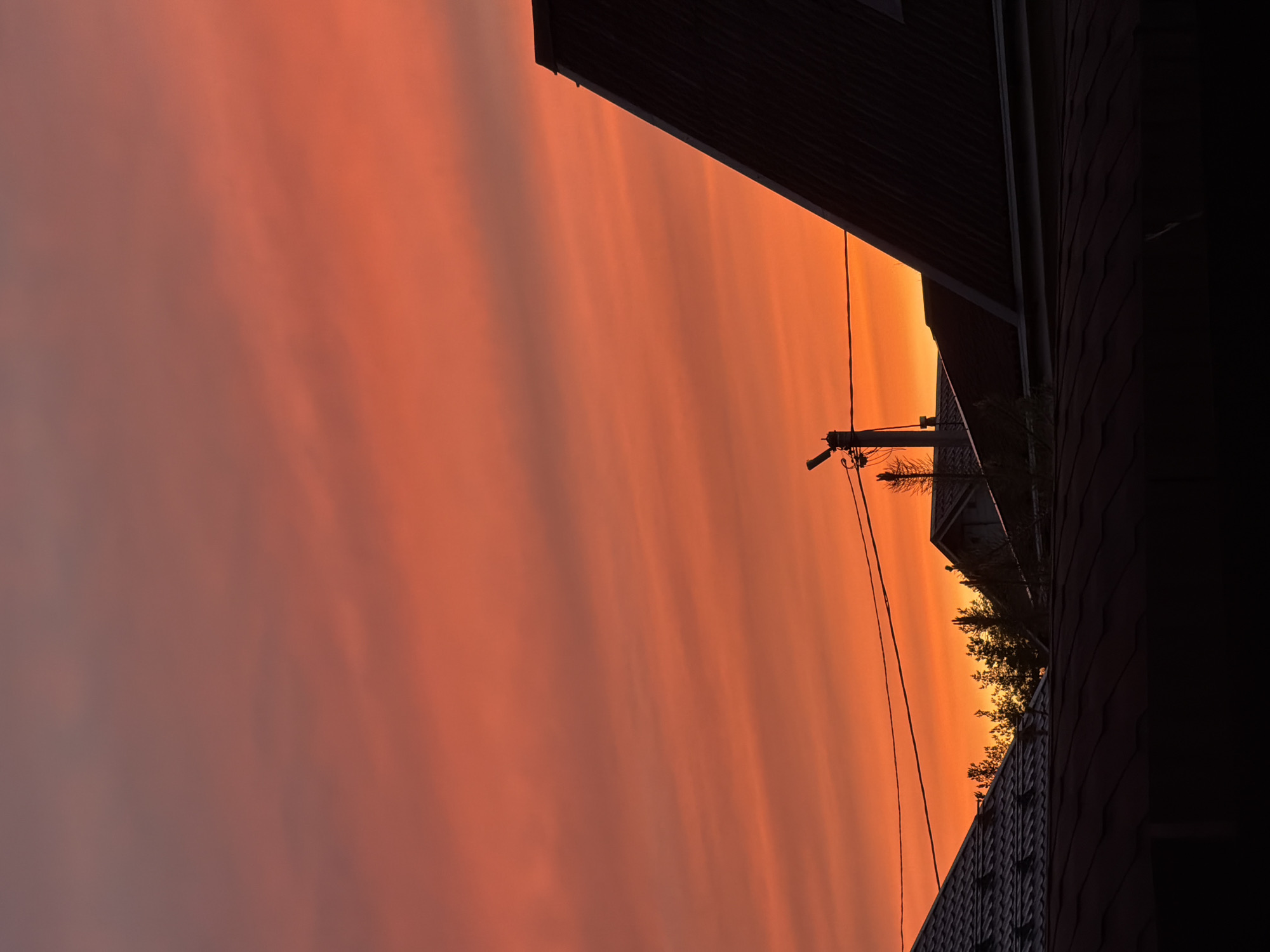 Evening sunset and domestic cat moments documented in Steklyannyi