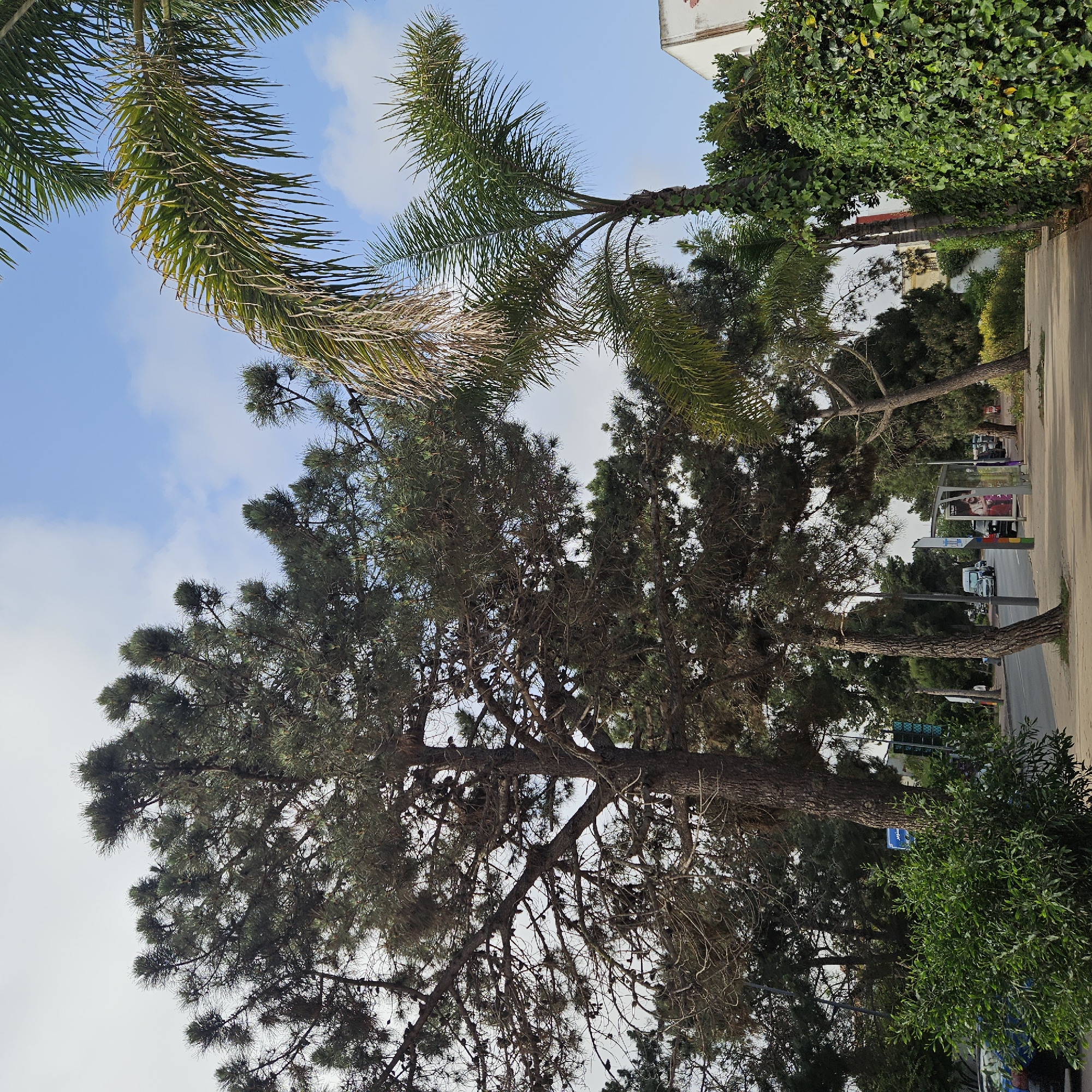 Morning street scenes documented in central Rabat