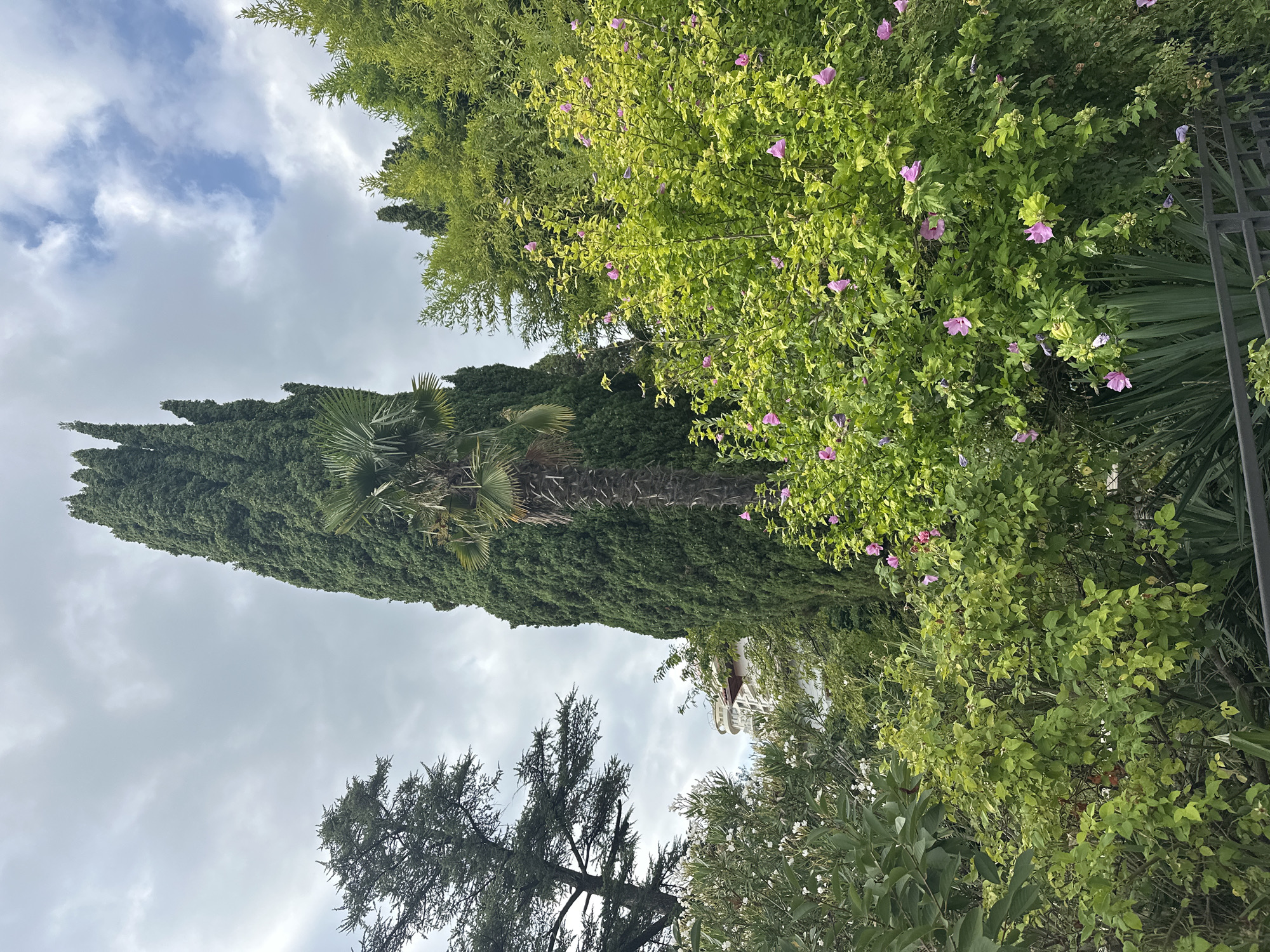 Afternoon tour of Sochi's Ostrovsky Museum and its lush garden grounds