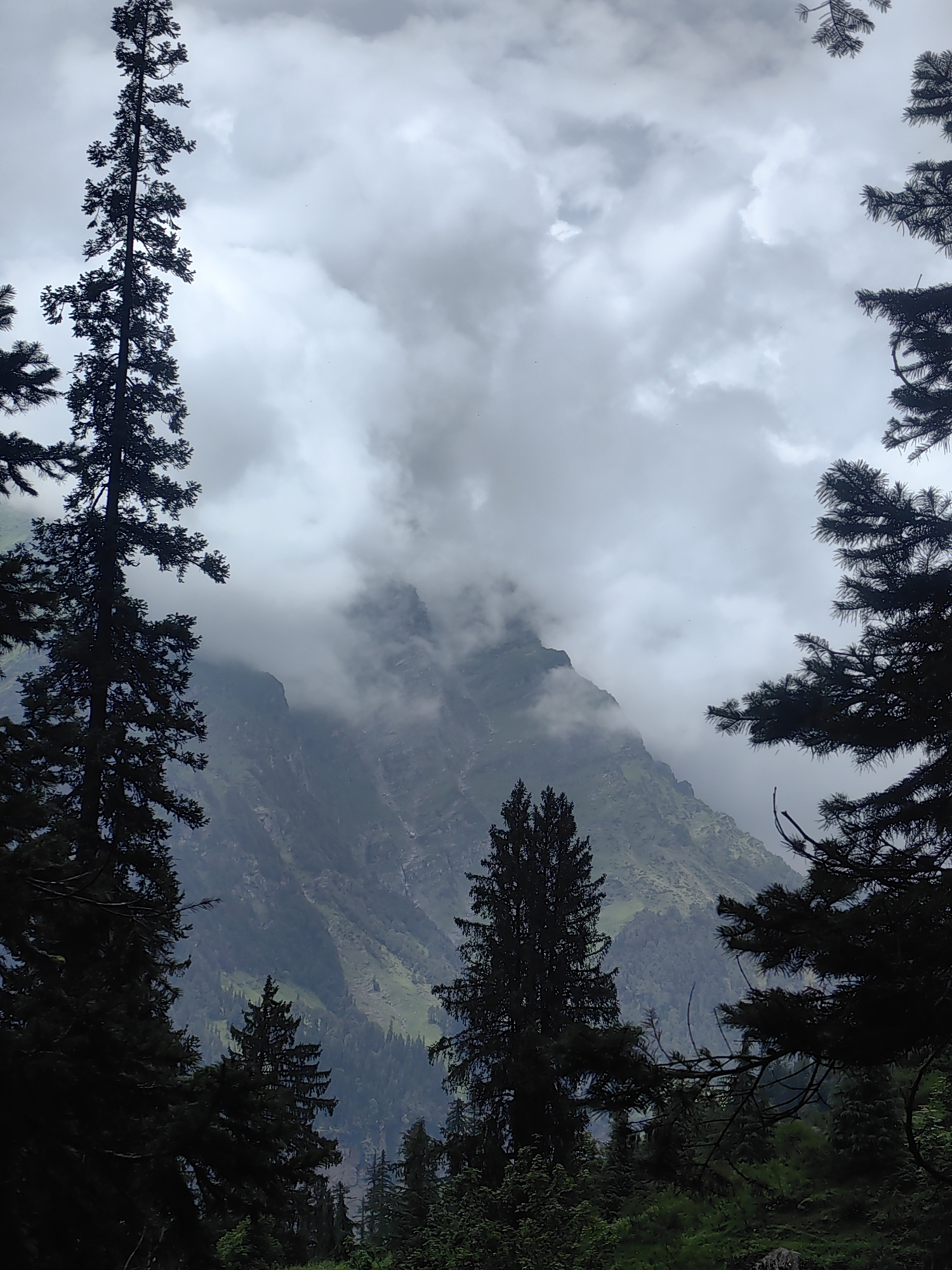 Exploring Solang Valley's streams, forests, and misty mountain views
