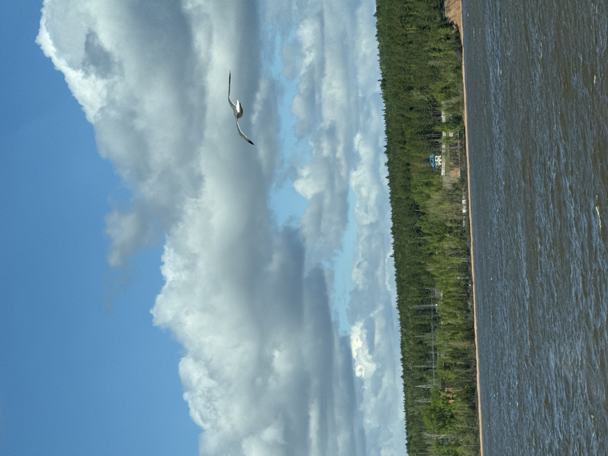 Spring waterscape observed at Chaikovsky reservoir under cloudy skies