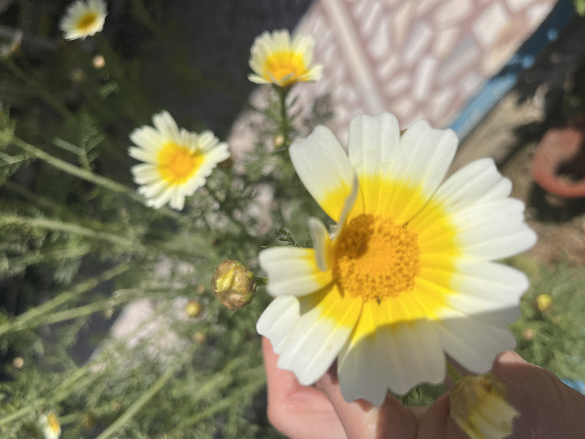 Easter table setting observed in Alanya, Turkey