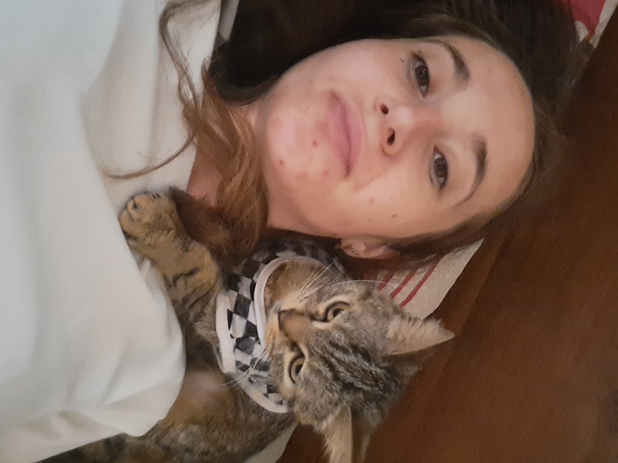 Tabby kitten in a checkered shirt chills on a chest indoors