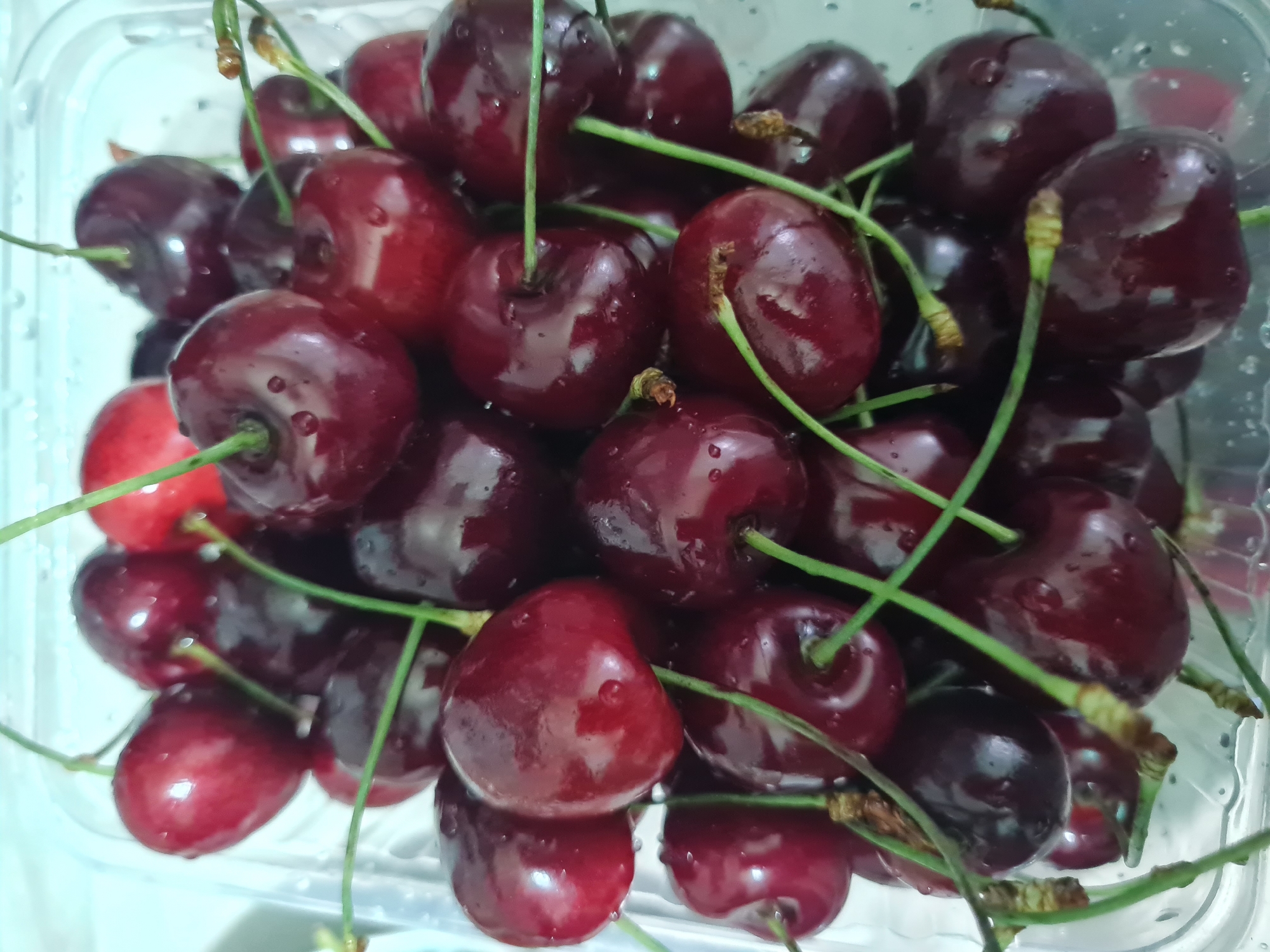 Freshly washed summer berries, close-up and overhead, Moscow