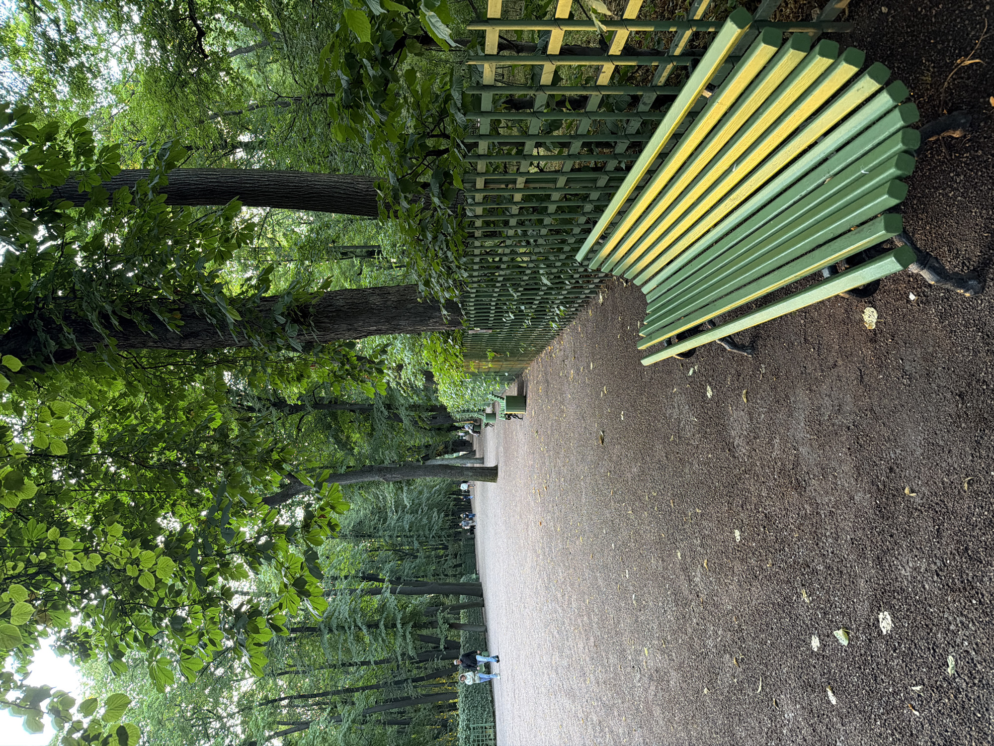 Swans and shaded paths in a Saint Petersburg park