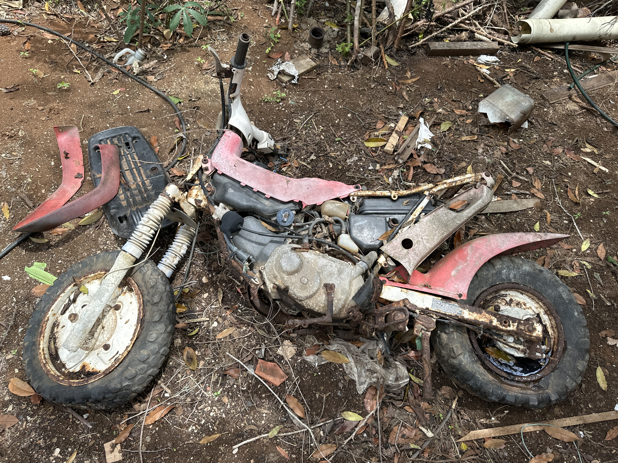 Rural Venezuelan landscape documented with vegetation and abandoned vehicles