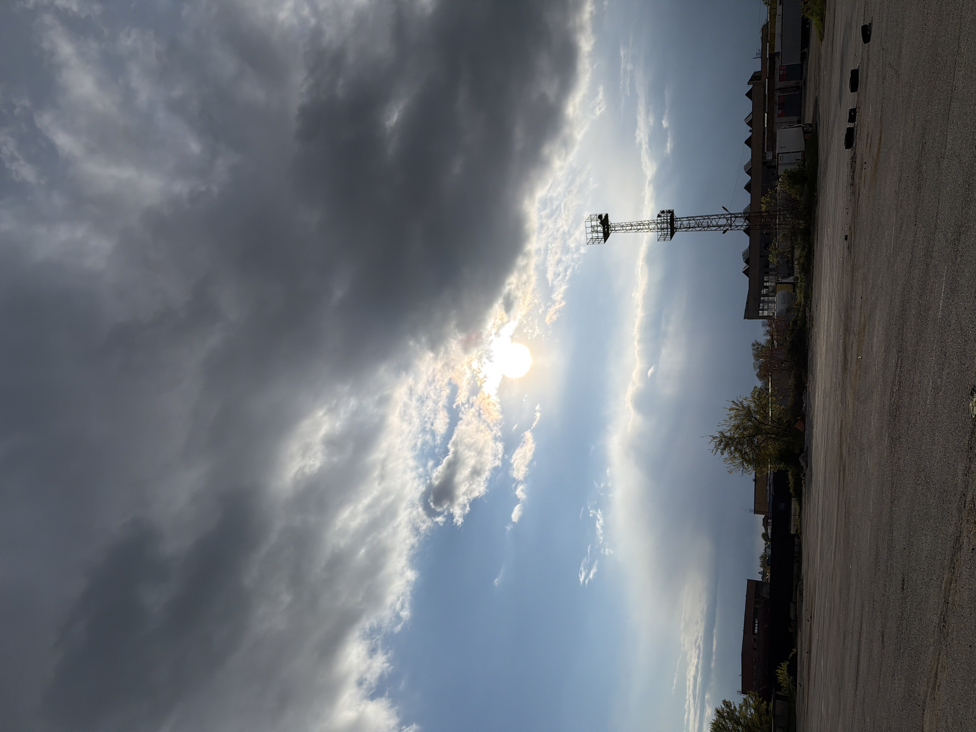 Afternoon snapshots: street scenes, German Shepherd interactions, indoor moments