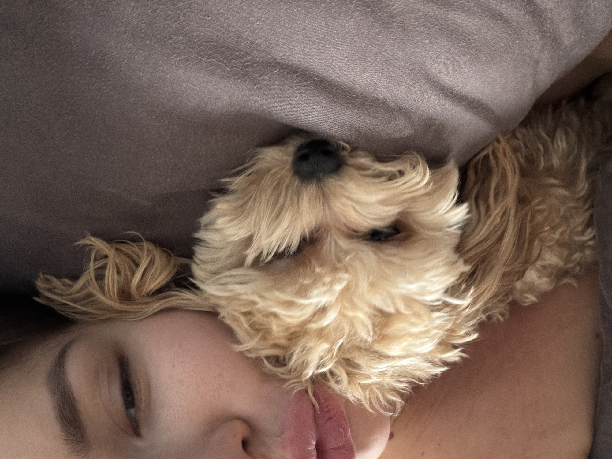 Person and dog share intimate moment in Moscow