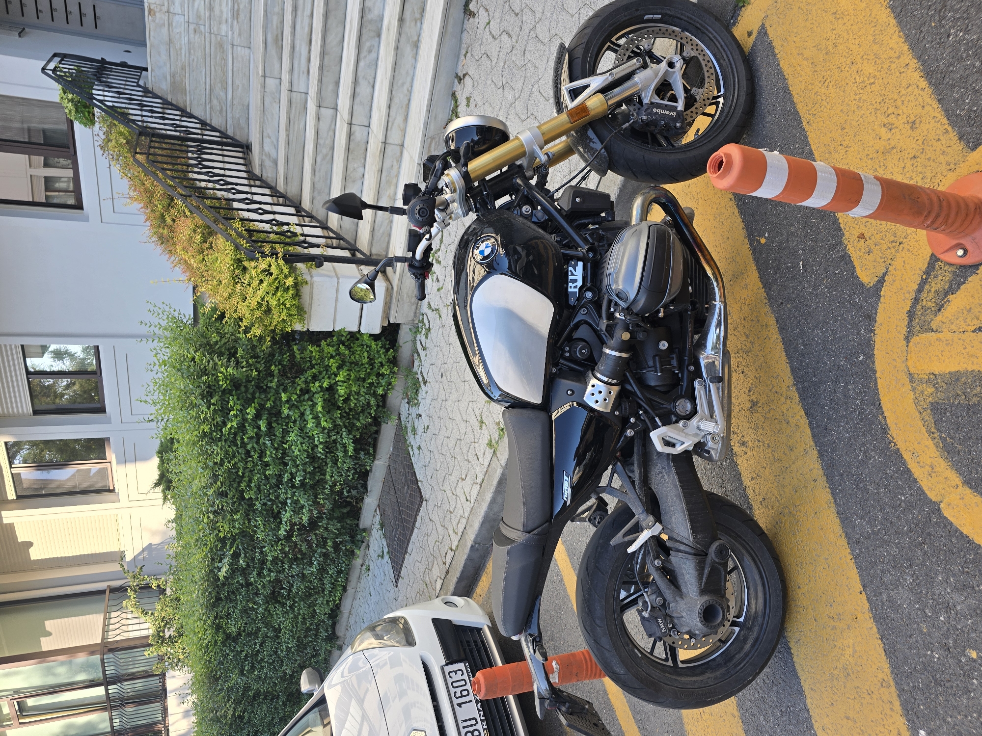 Summer afternoon in a Beşiktaş park: flowers, cats, and a motorcycle