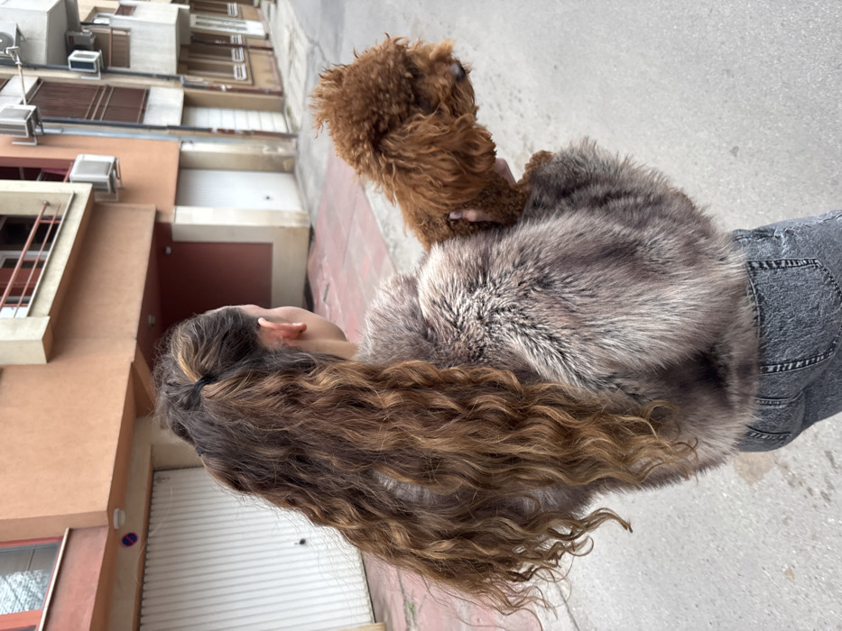 Woman carries poodle through Sofia streets during afternoon outing