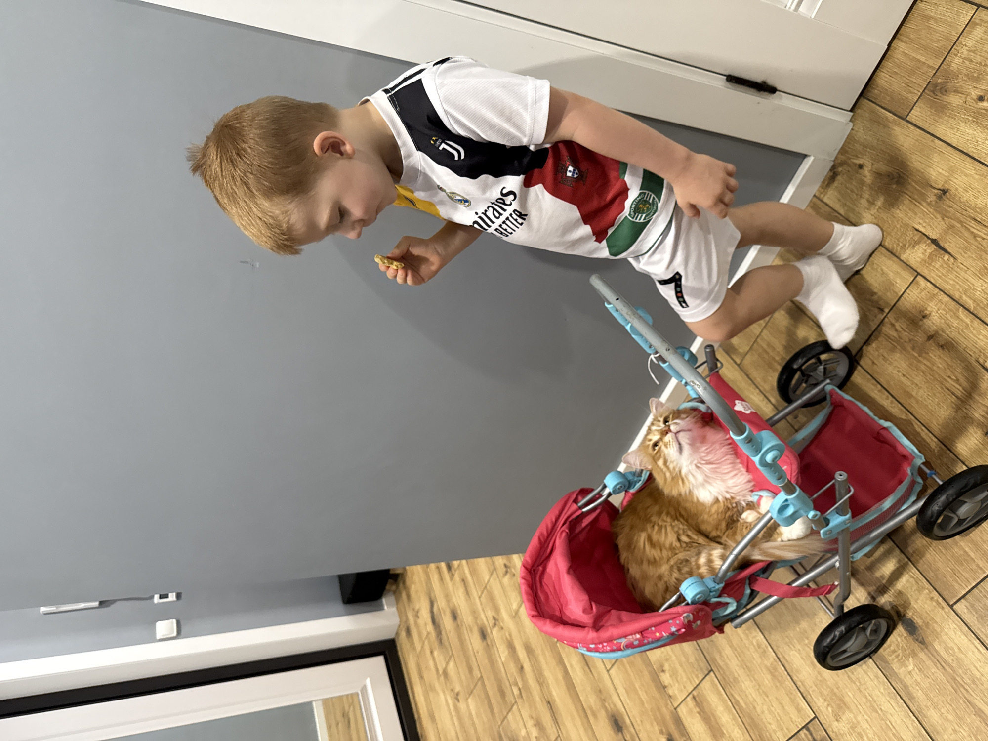 Child feeds cat in doll stroller indoors
