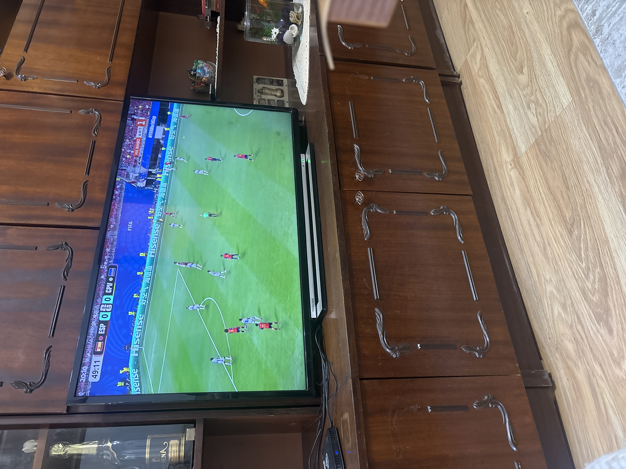 Tabby kitten naps through an afternoon of live football in Bulgaria