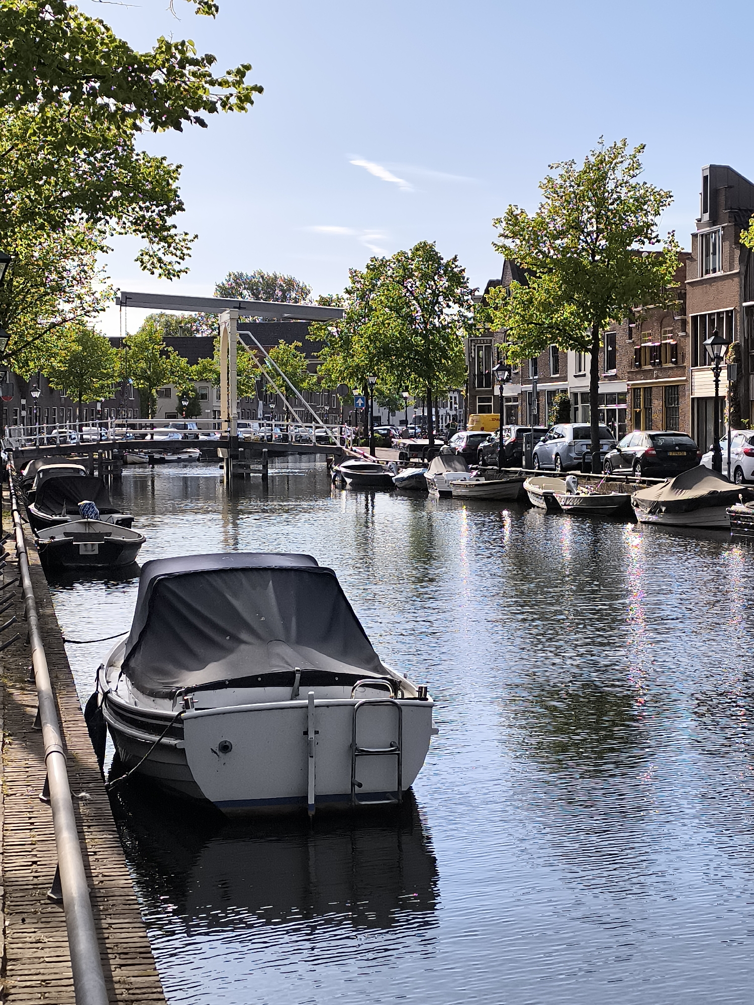 Witness documents springtime scenes across Alkmaar, Netherlands