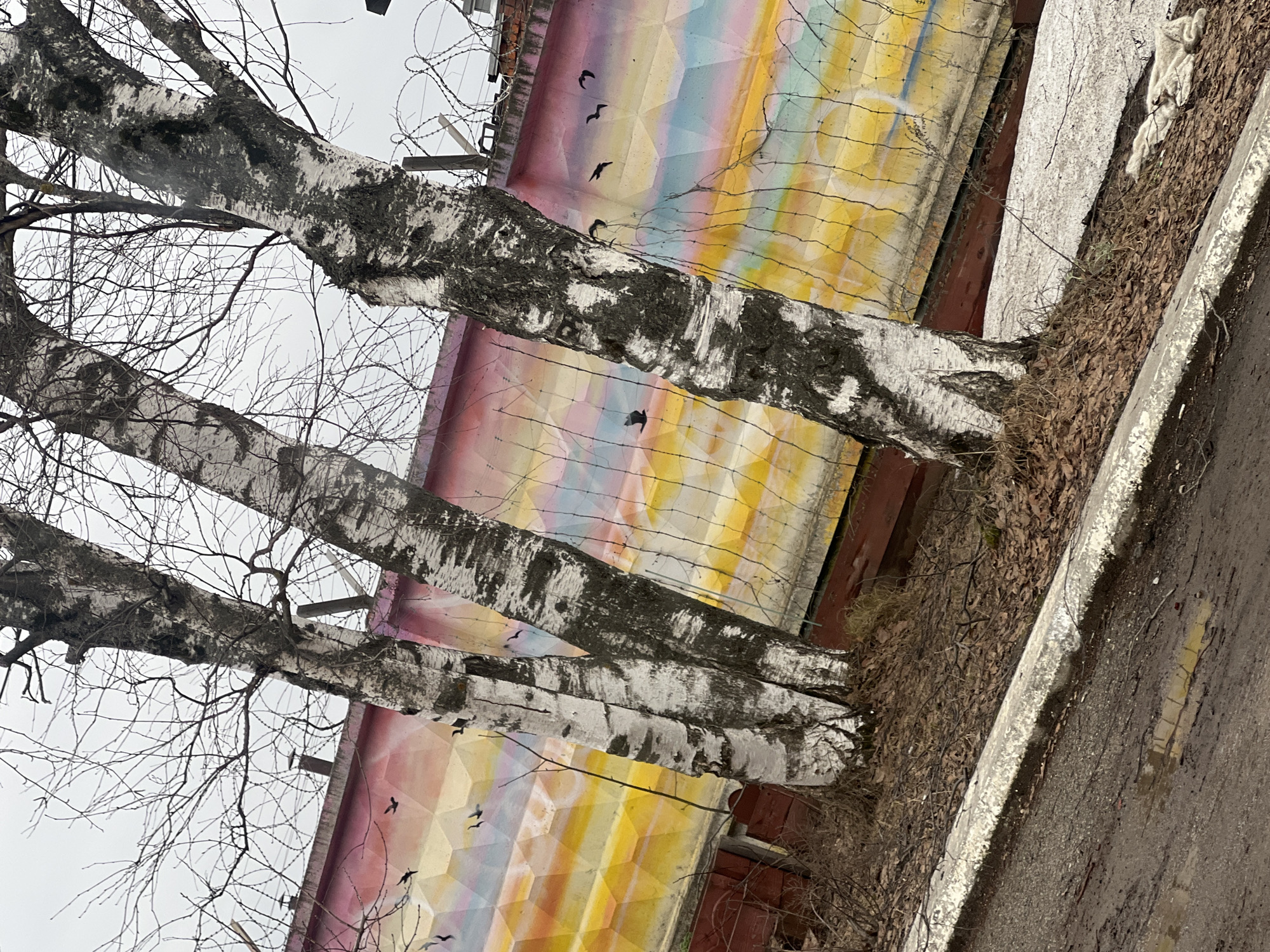Geometric murals and architecture documented in Chaikovsky, Russia